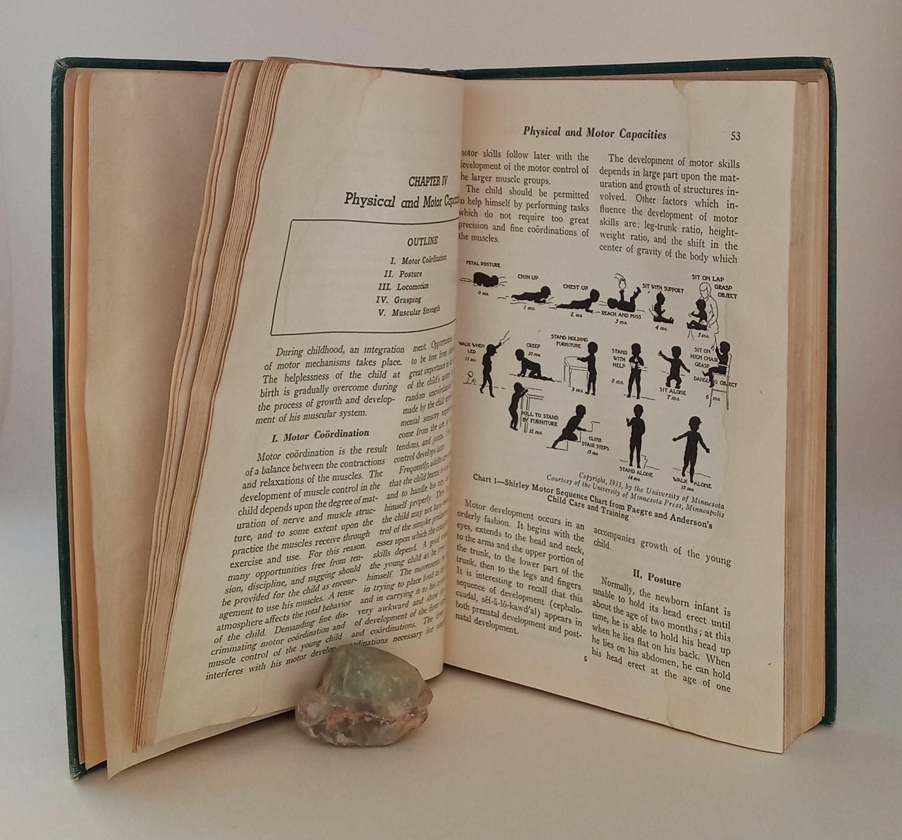 Principles of Pediatrics and Pediatric Nursing book cover