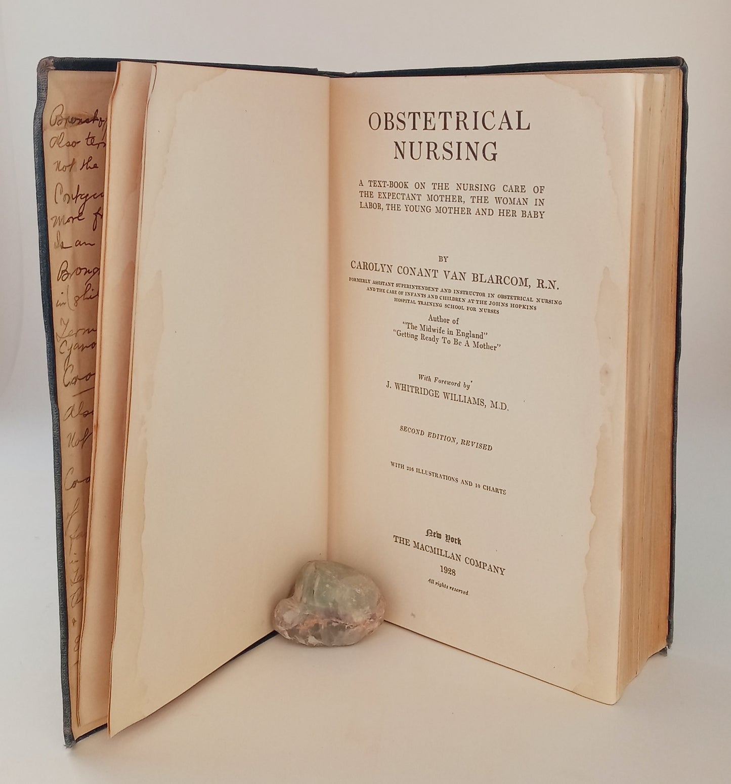 Obstetrical Nursing: A Text-Book on the Nursing Care of the Expectant Mother, the Woman in Labor, the Young Mother and Her Baby book cover