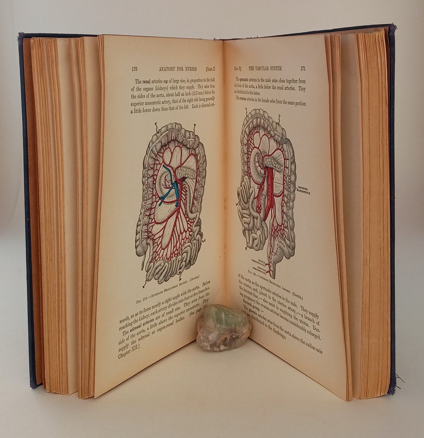 Text-Book of Anatomy and Physiology for Nurses book cover