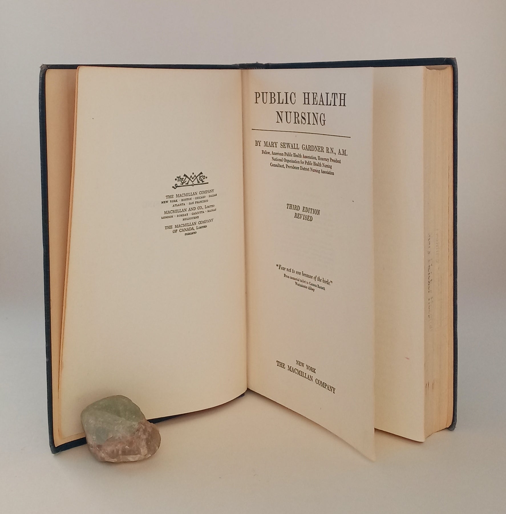 Public Health Nursing book cover