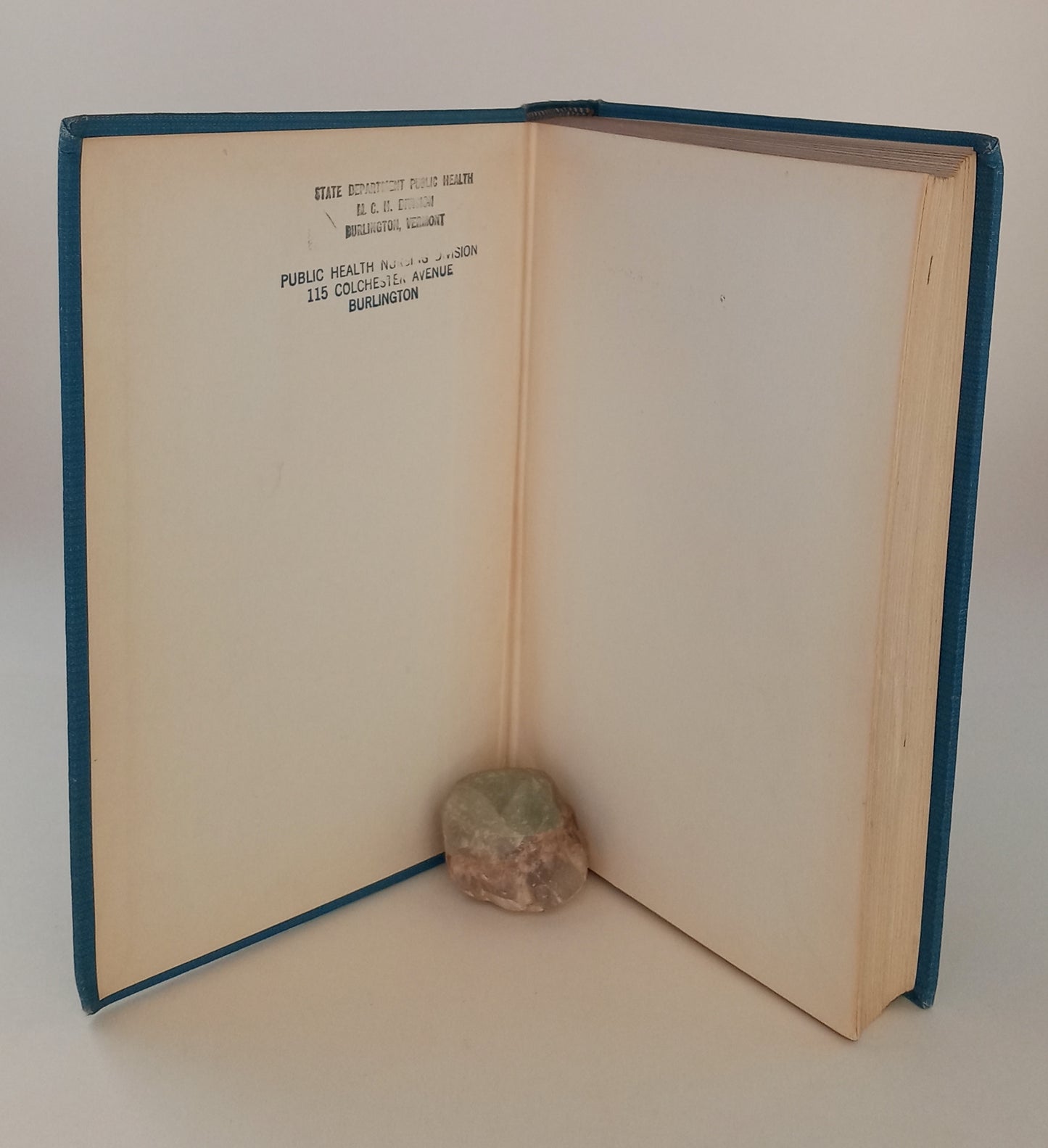 Nursing: A Community Health Service book cover