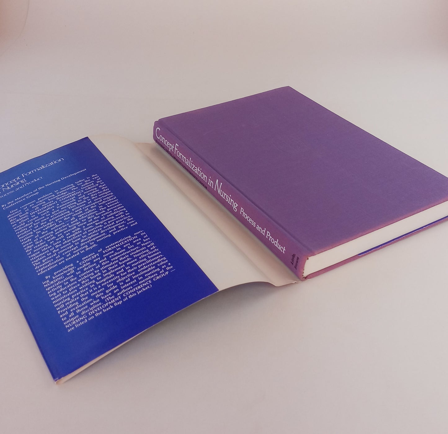Concept Formalization in Nursing: Process and Product book cover