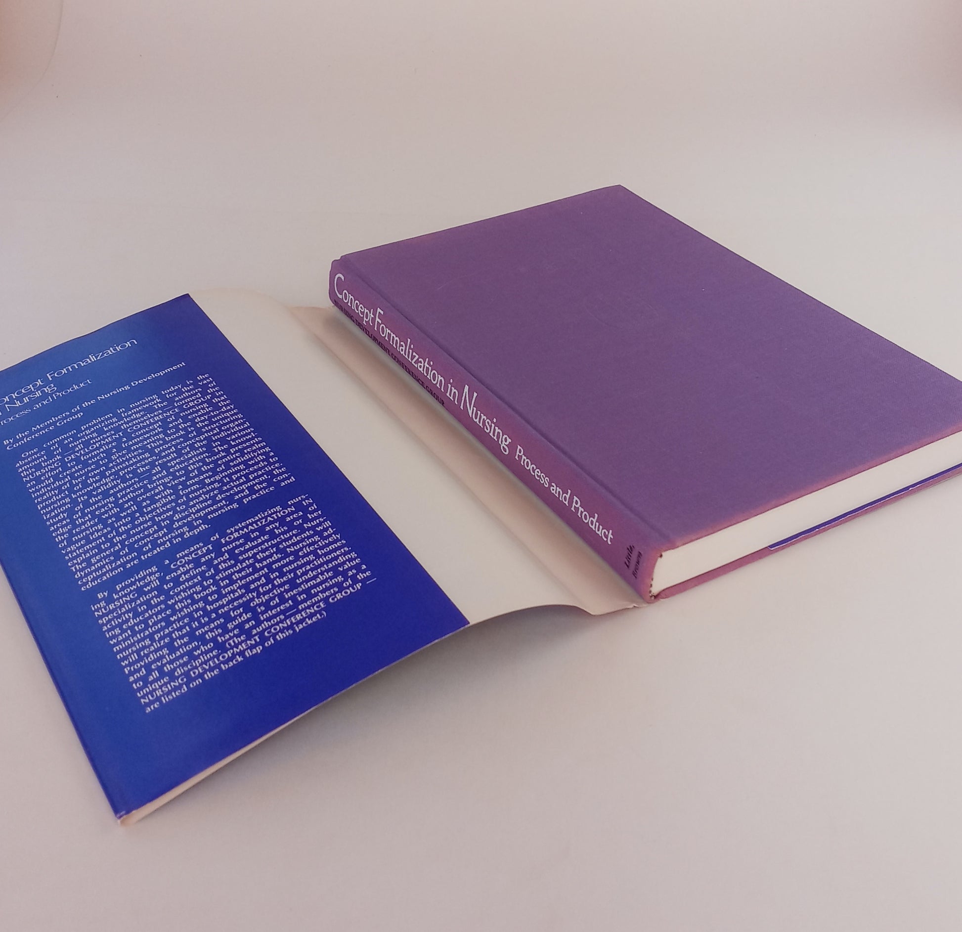 Concept Formalization in Nursing: Process and Product book cover