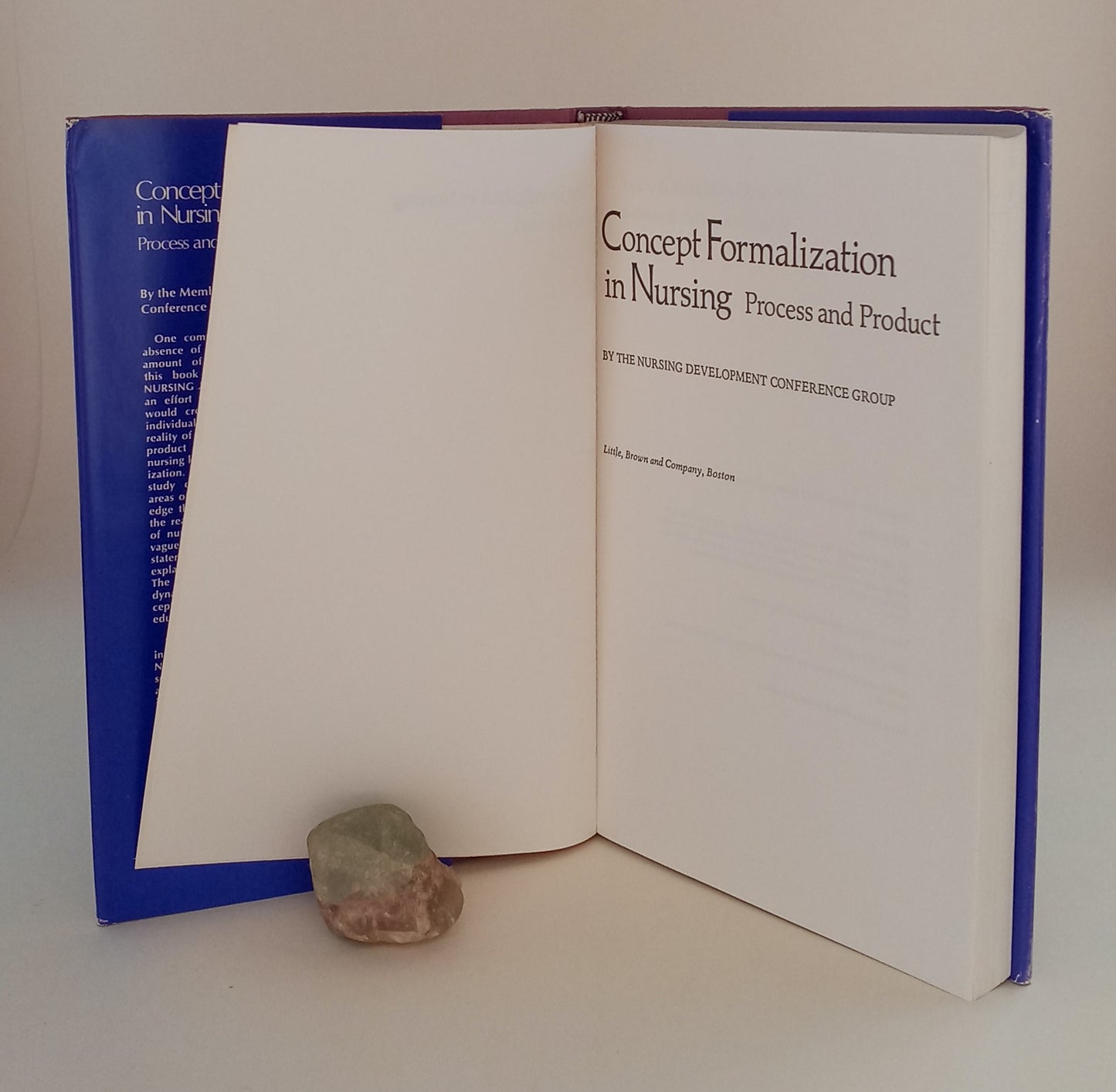 Concept Formalization in Nursing: Process and Product book cover