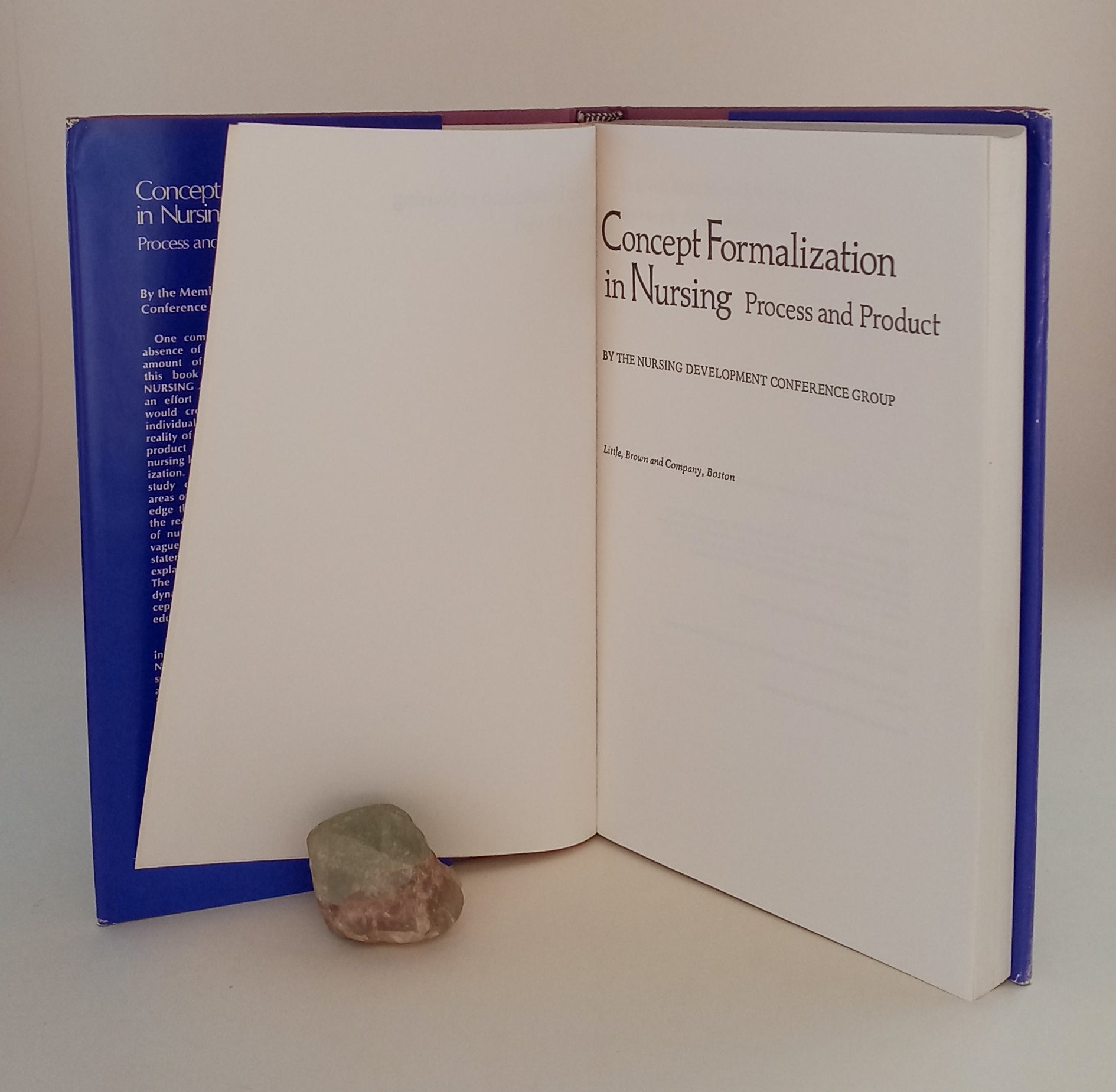 Concept Formalization in Nursing: Process and Product book cover