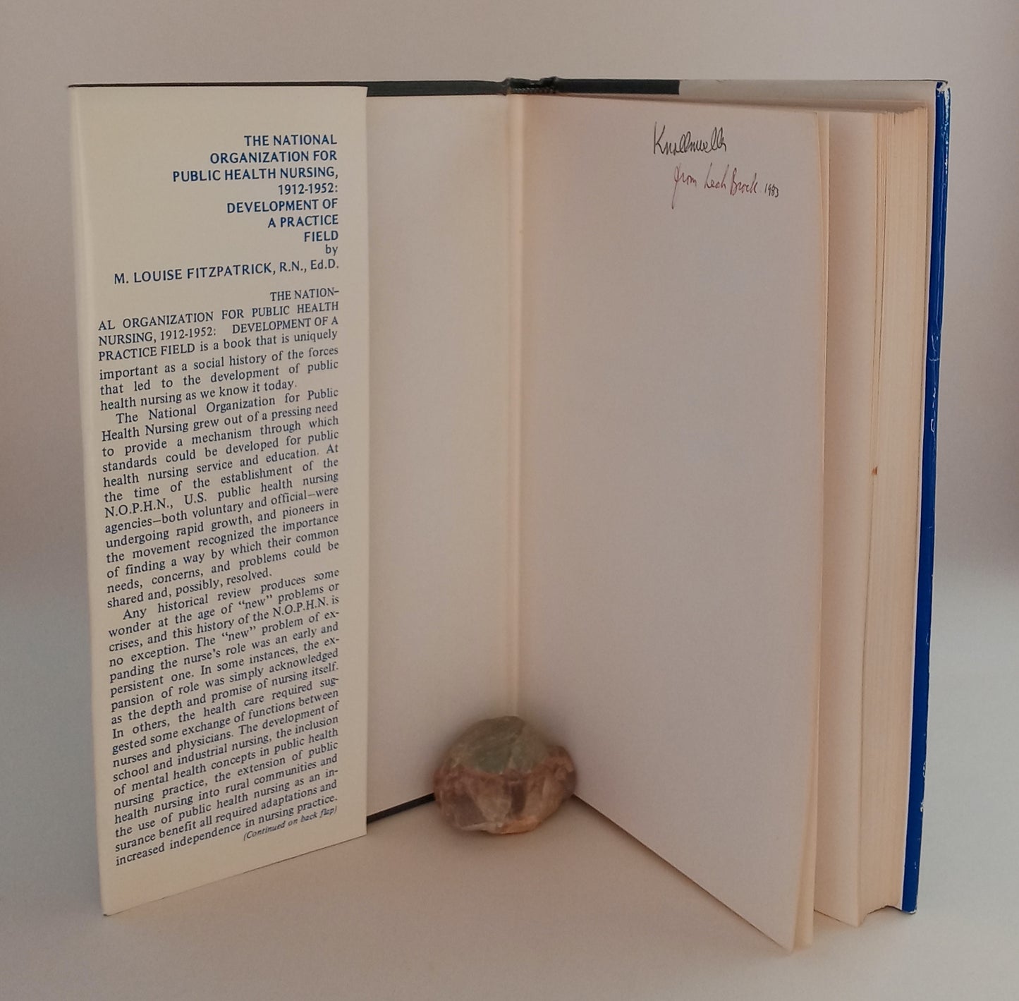 The National Organization for Public Health Nursing, 1912-1952: Development of a Practice Field book cover