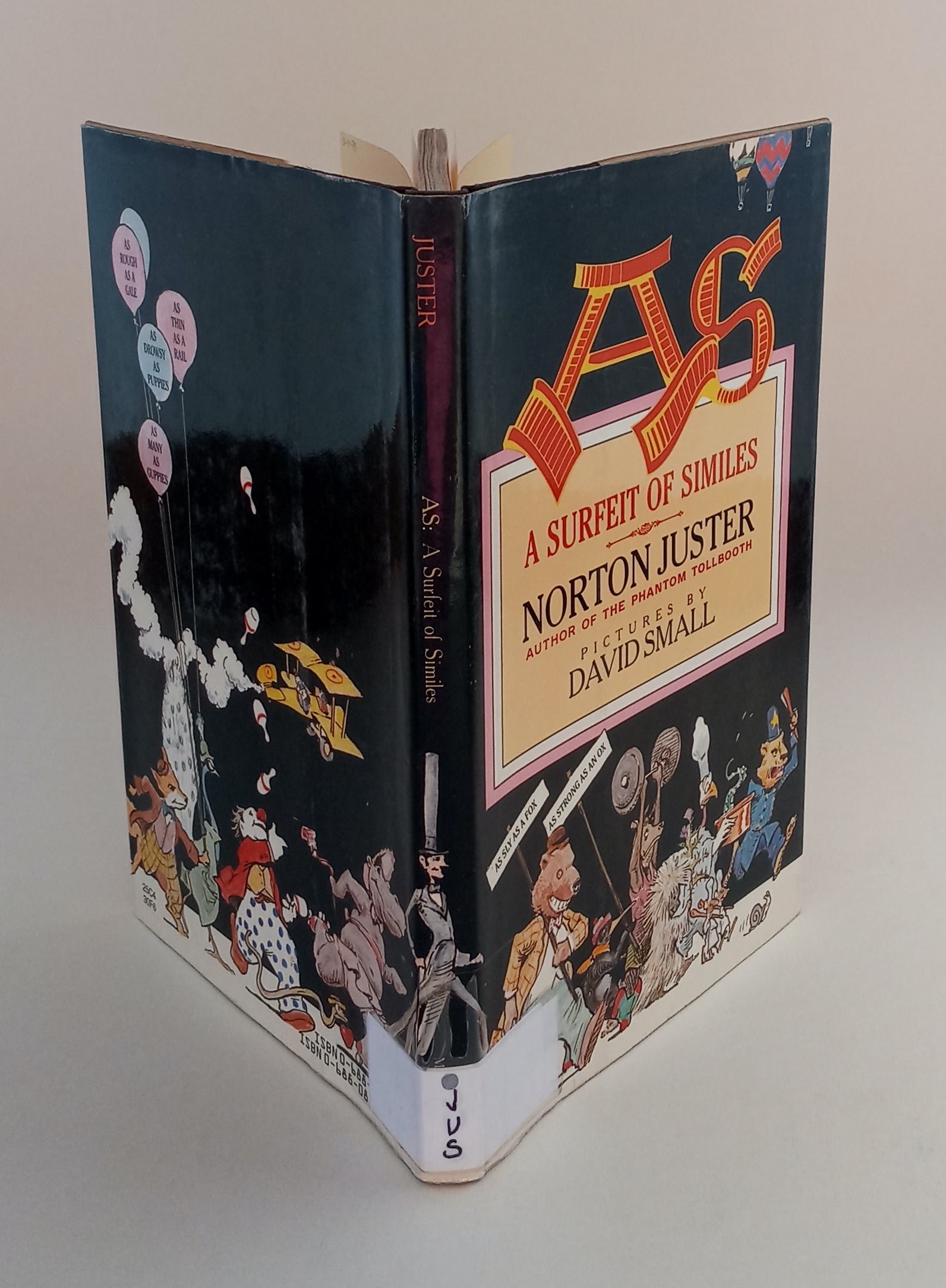 A Surfeit of Similes book cover