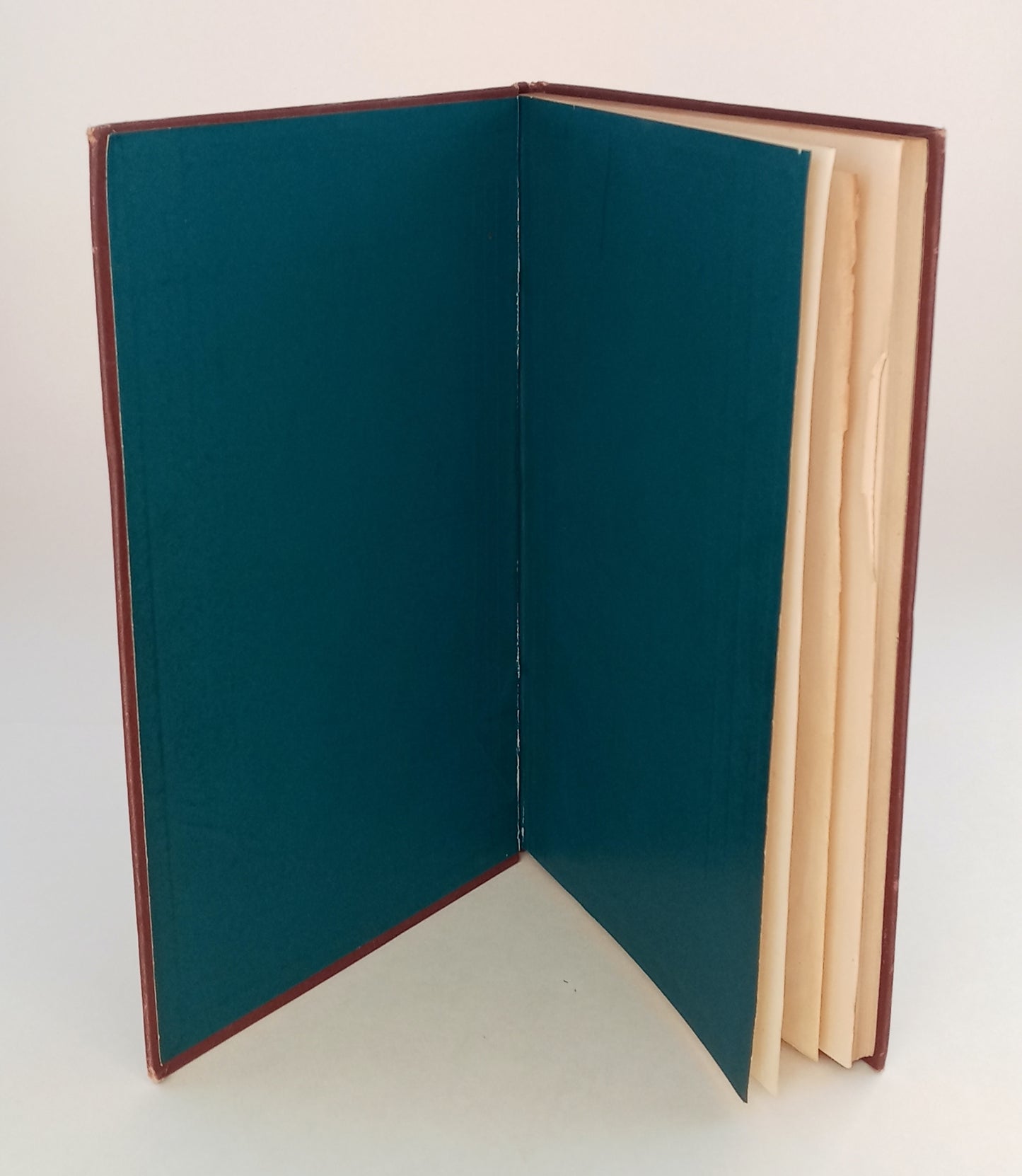 Disease of the Mind. Notes on the Early Management, European and American Progress, Modern Methods, etc., in the Treatment of Insanity, with especial reference to the needs of Massachusetts and the United States. book cover