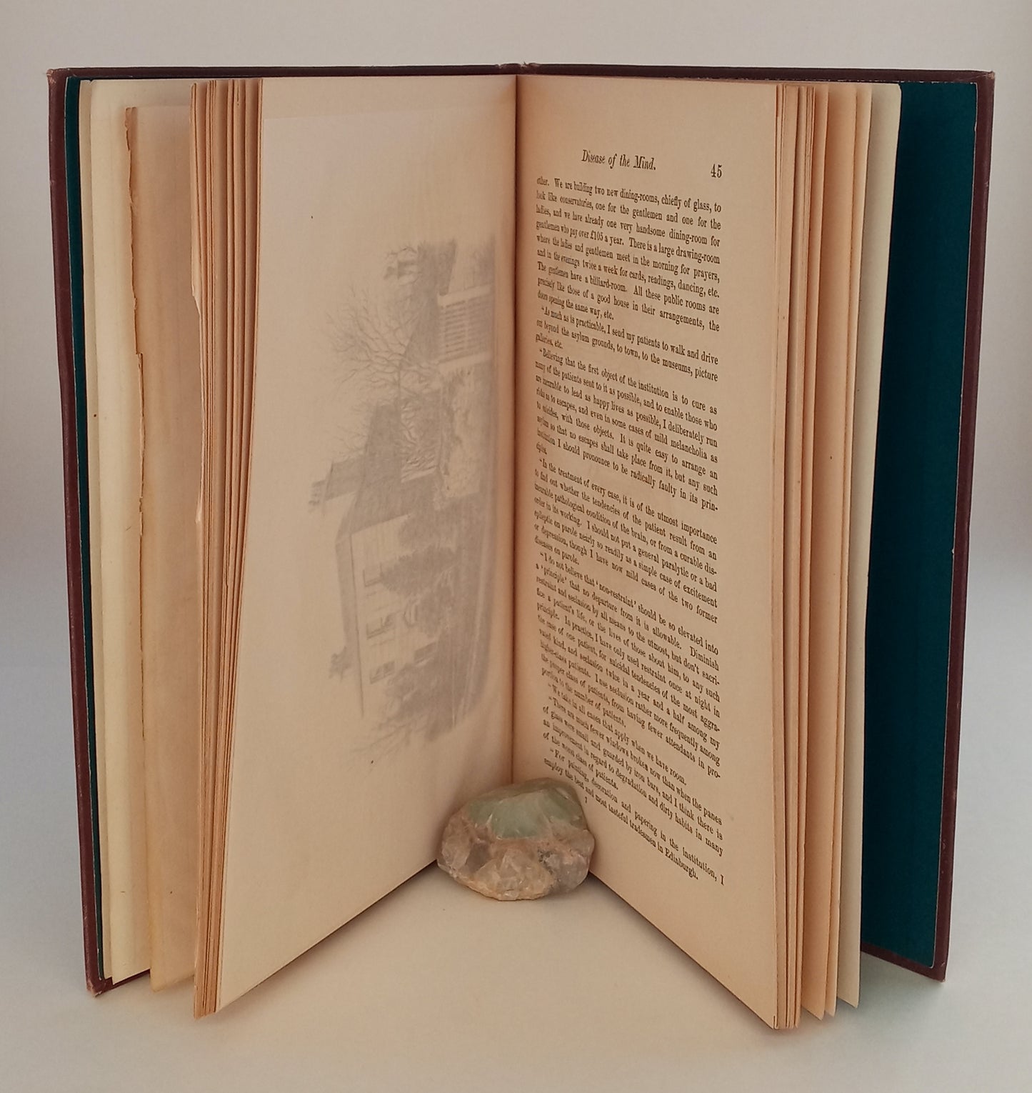 Disease of the Mind. Notes on the Early Management, European and American Progress, Modern Methods, etc., in the Treatment of Insanity, with especial reference to the needs of Massachusetts and the United States. book cover