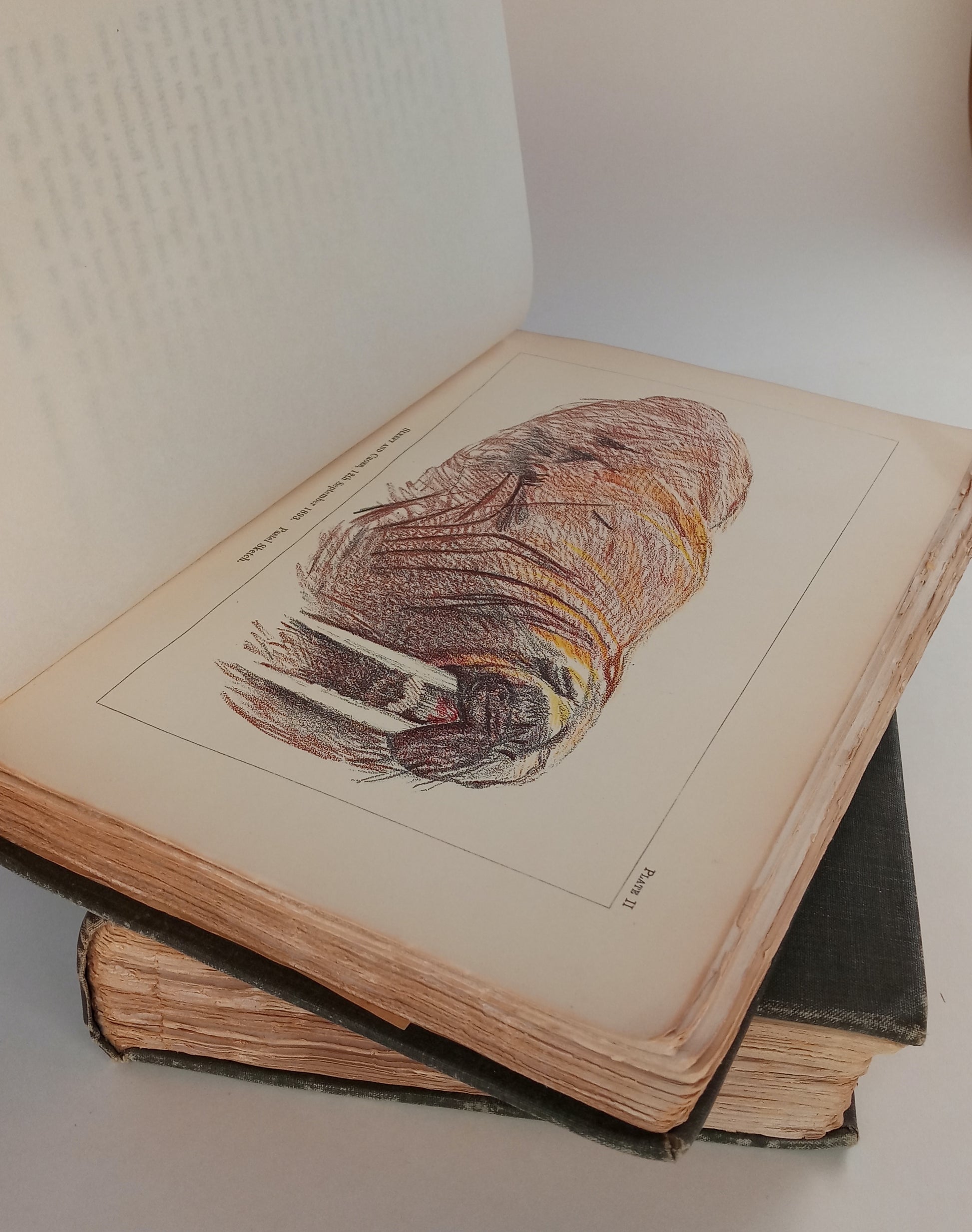 Farthest North, being a Record of a Voyage of Exploration of the Ship "Fram" 1893-96 and of a Fifteen Months' Sleigh Journey by Dr. Nansen and Lieut. Johansen. In two volumes. book cover