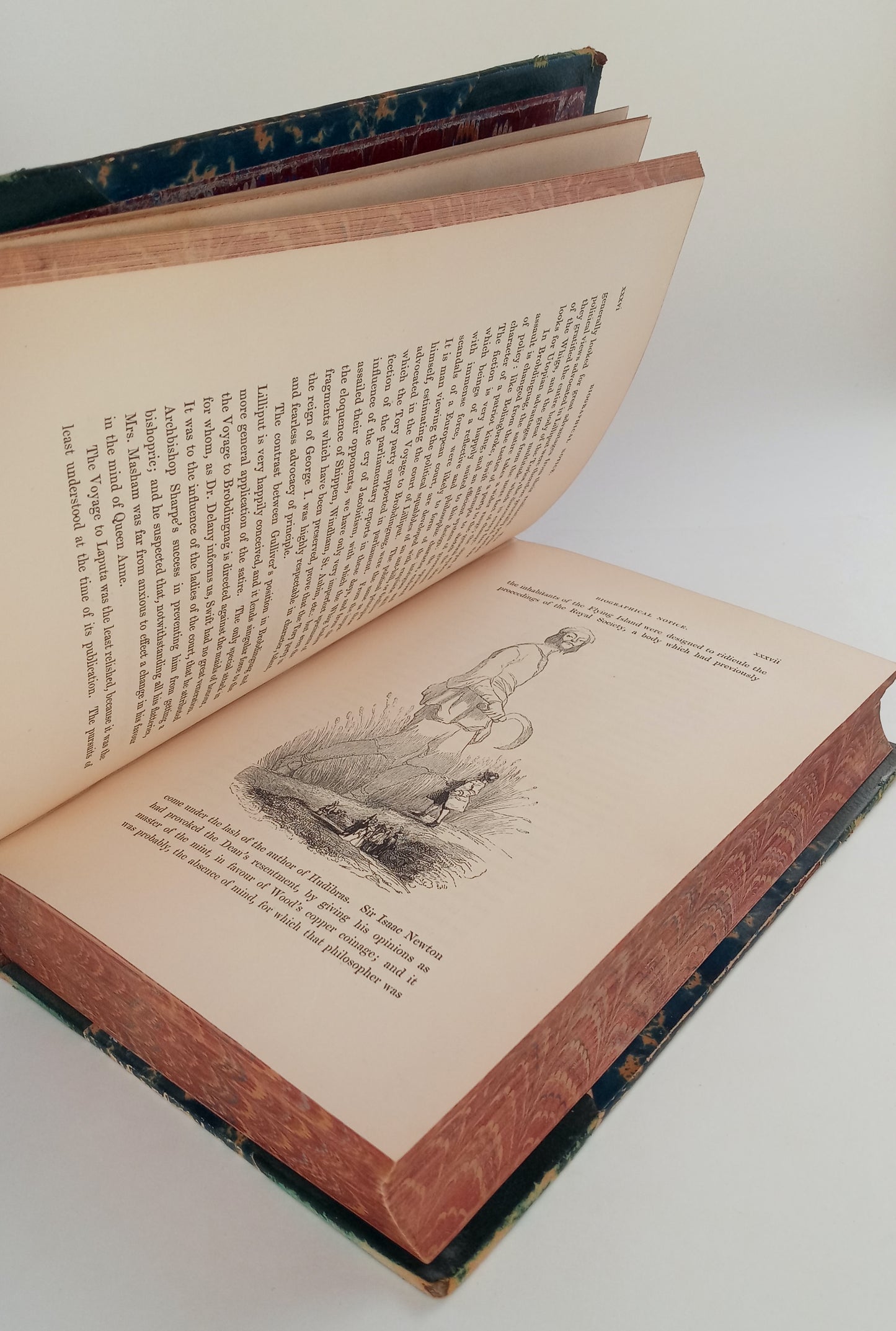 Travels into Several Remote Nations of the World by Lemuel Gulliver, First a Surgeon, and Then a Captain of Several Ships. In Four Parts. Illustrated with Upwards of Four Hundred Wood-Engravings from Designs by Grandville. book cover