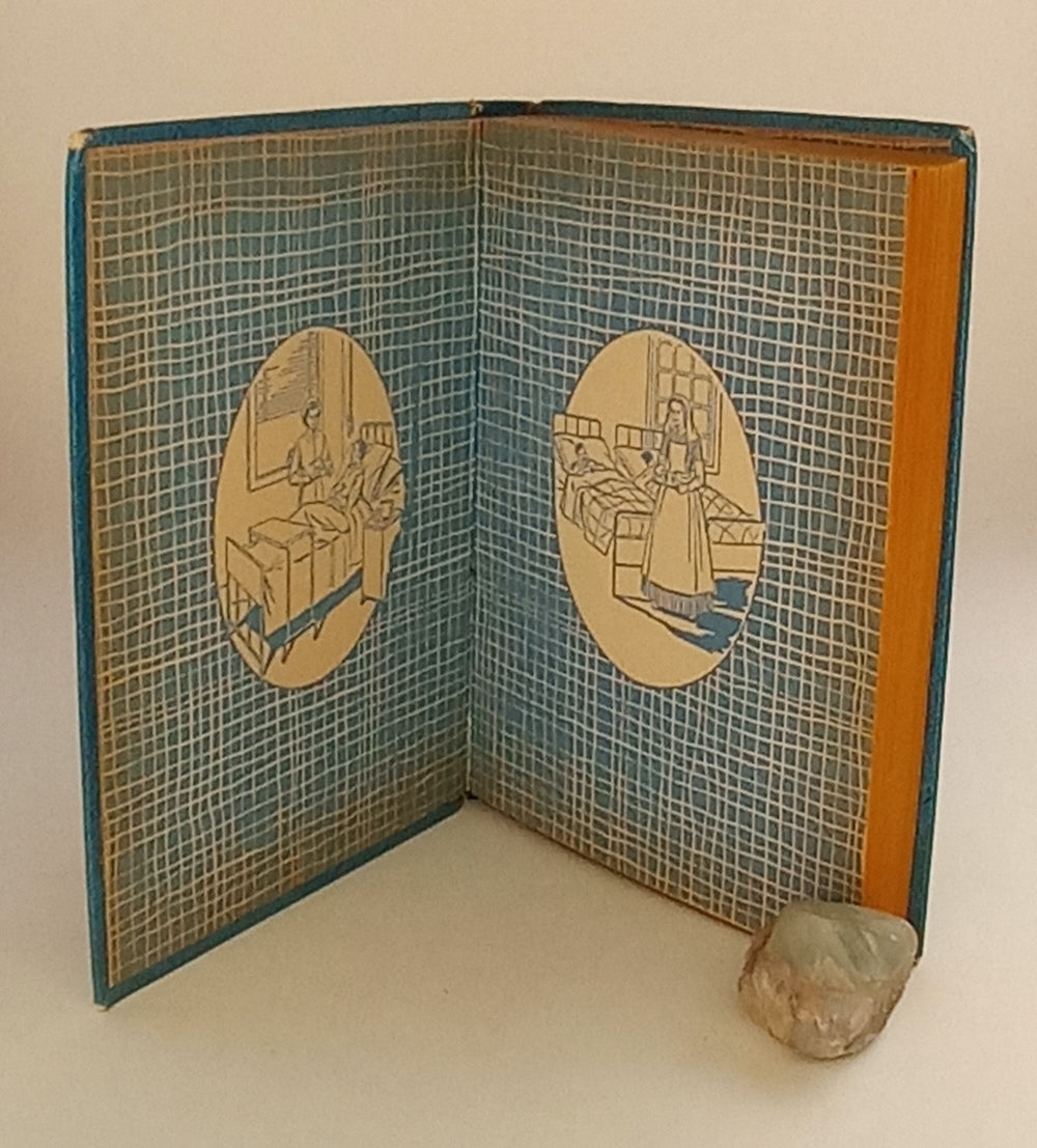 Nurses Who Led the Way book cover