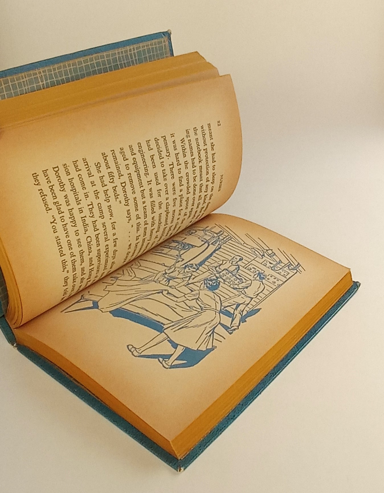 Nurses Who Led the Way book cover
