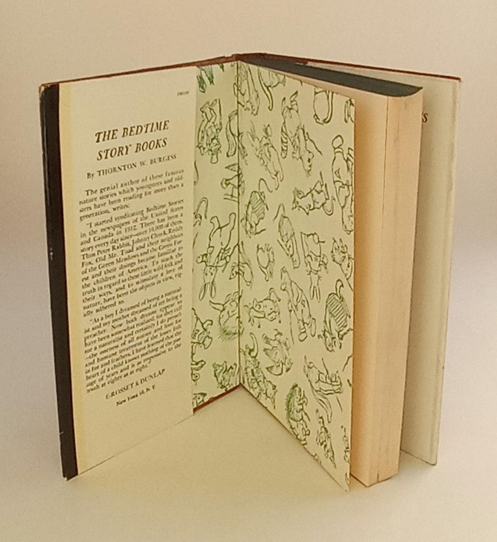 The Adventures of Jimmy Skunk book cover