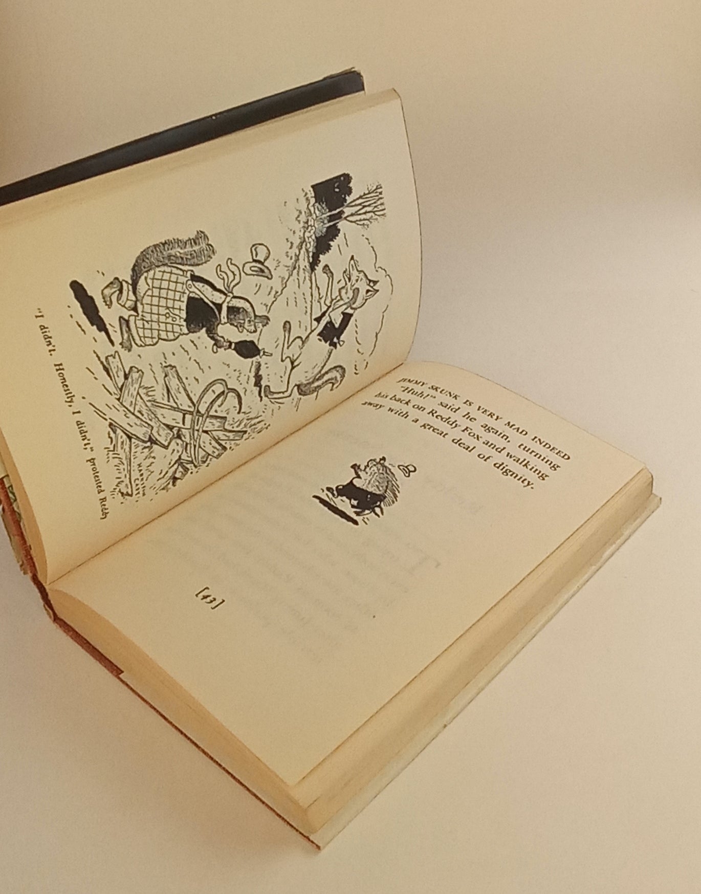 The Adventures of Jimmy Skunk book cover