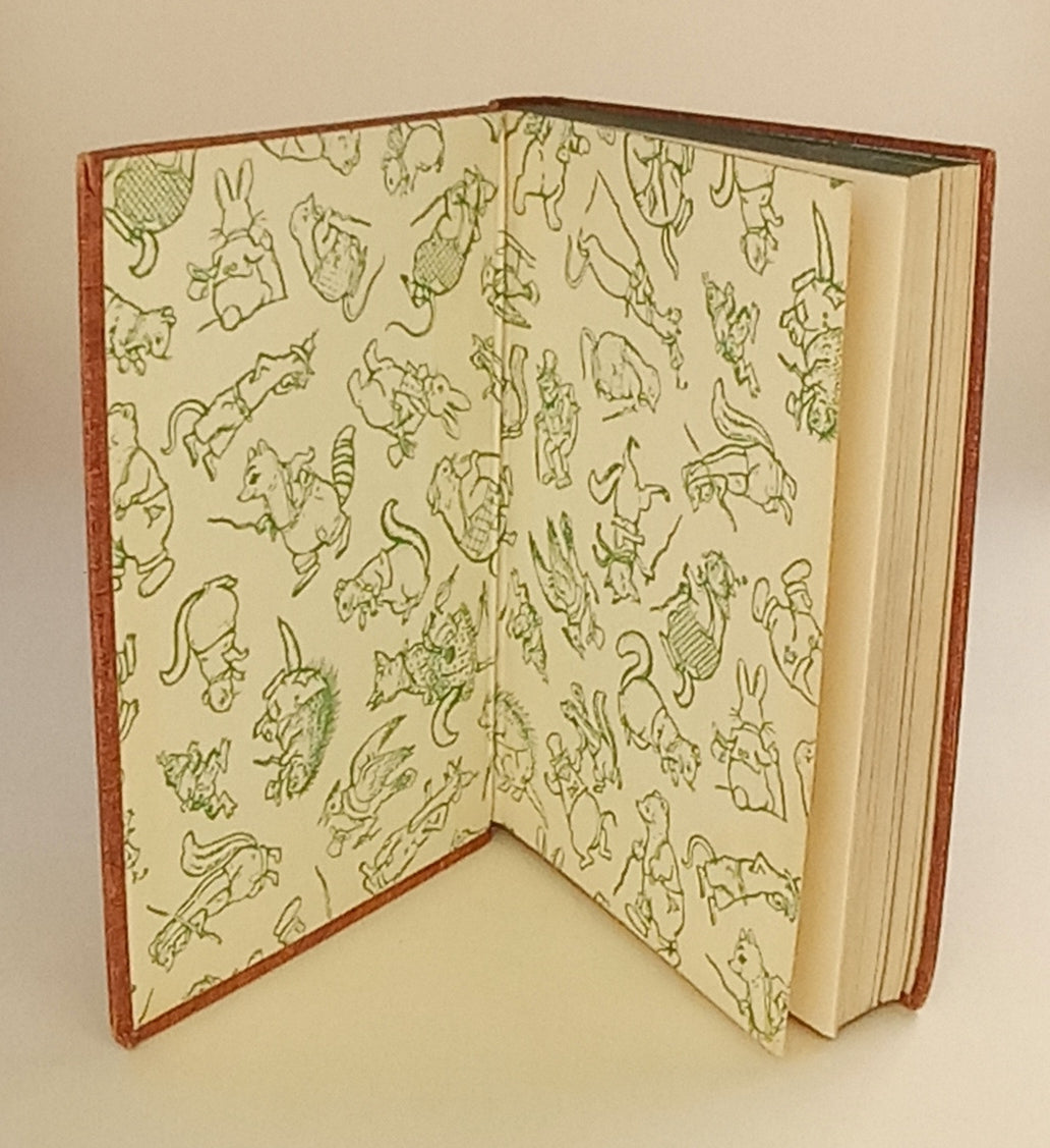 The Adventures of Poor Mrs. Quack book cover