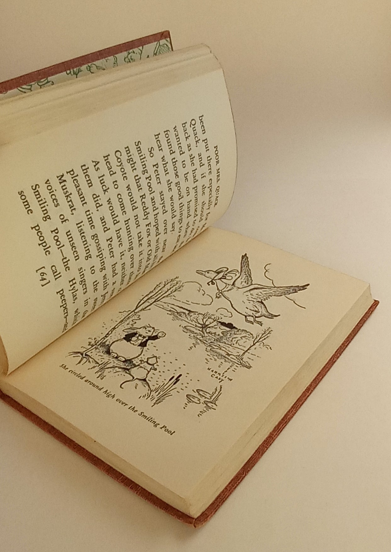 The Adventures of Poor Mrs. Quack book cover