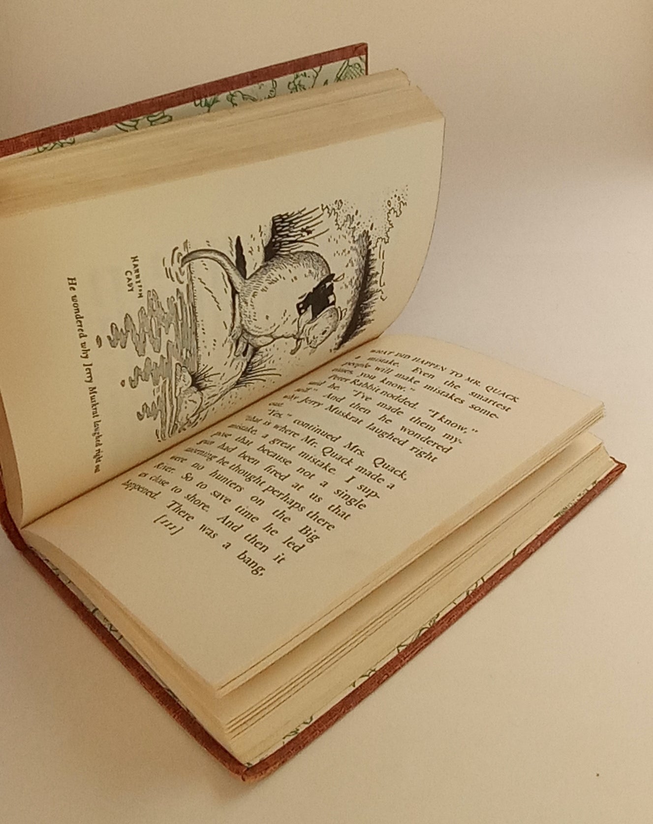 The Adventures of Poor Mrs. Quack book cover