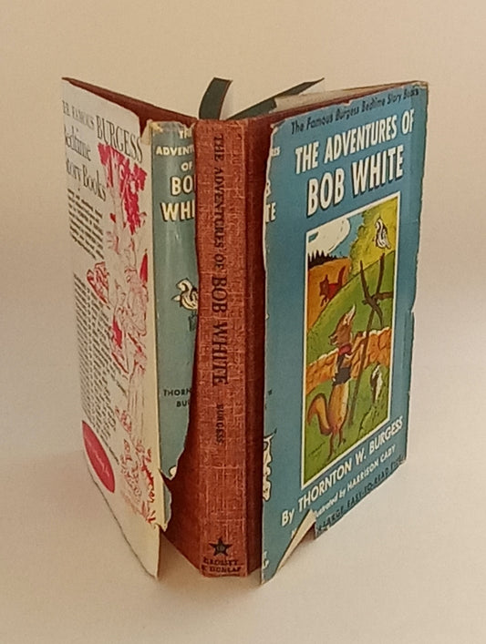 The Adventures of Bob White book cover