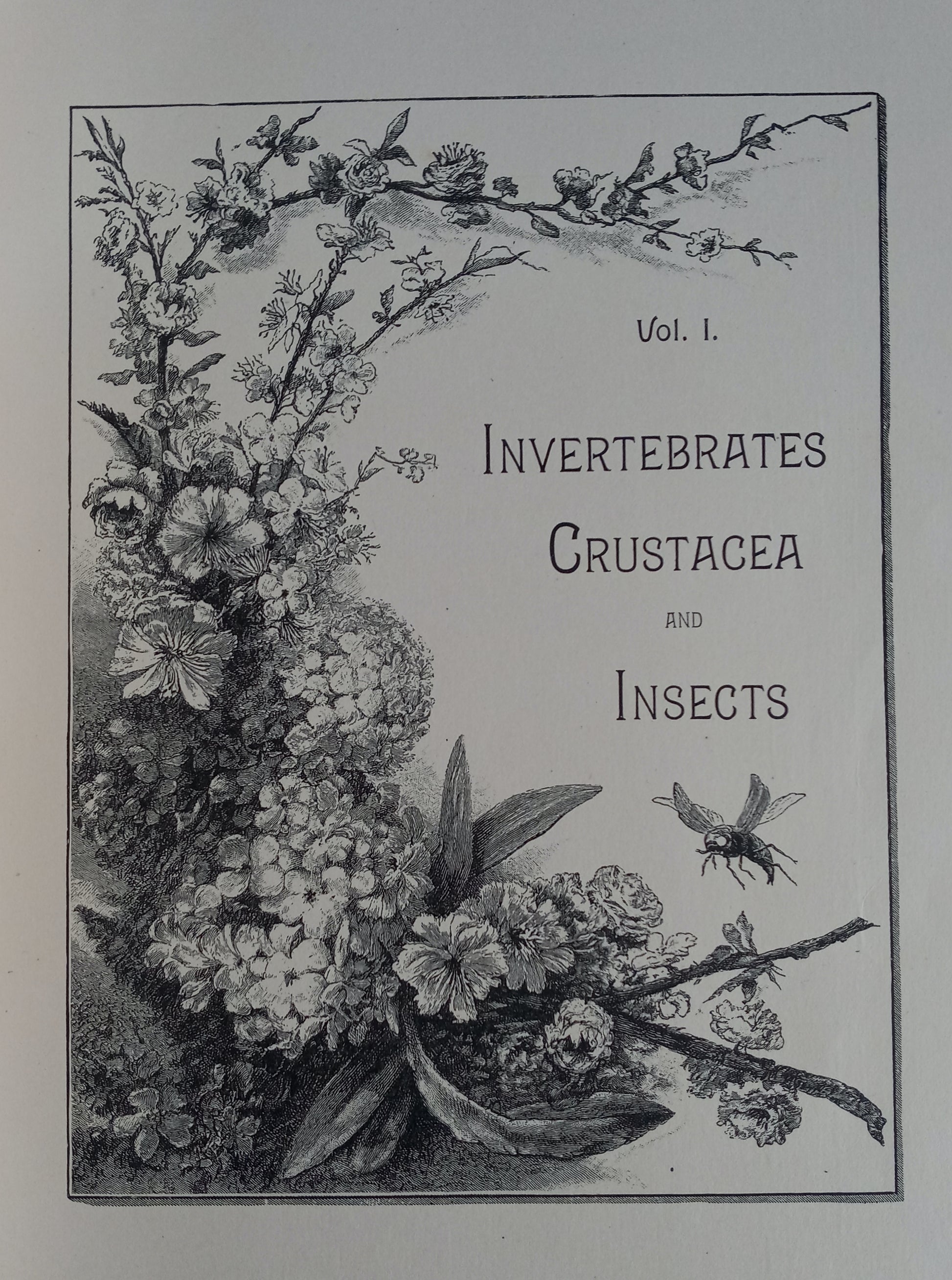 Nature's Wonderland or Short Talks on Natural History for Young and Old book cover