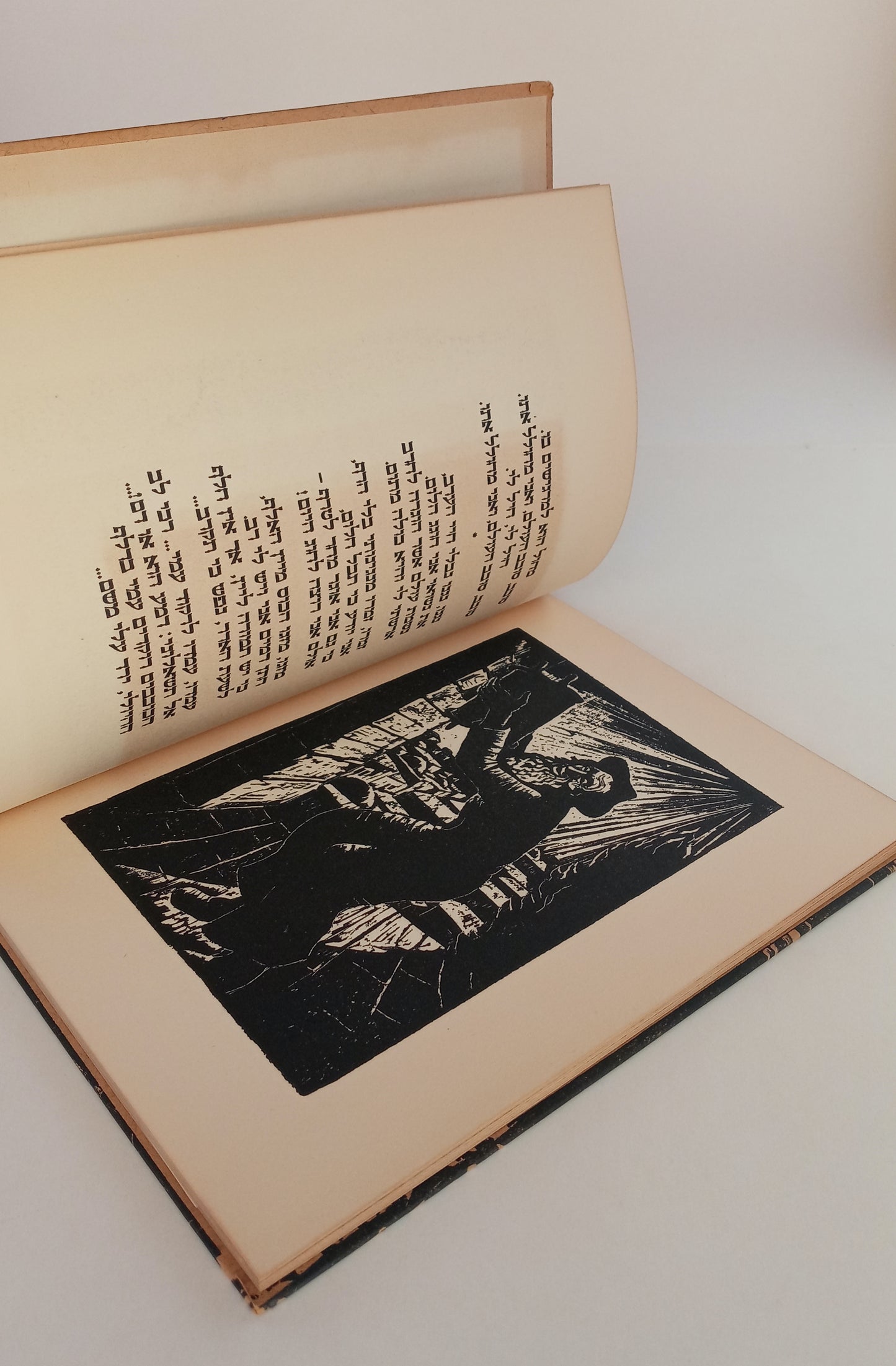Jerusalem Slumbering Town: Eleven Wood-Cuts by Jacob Steinhardt, Eleven Hebrew Poems by Sh. Shalom book cover