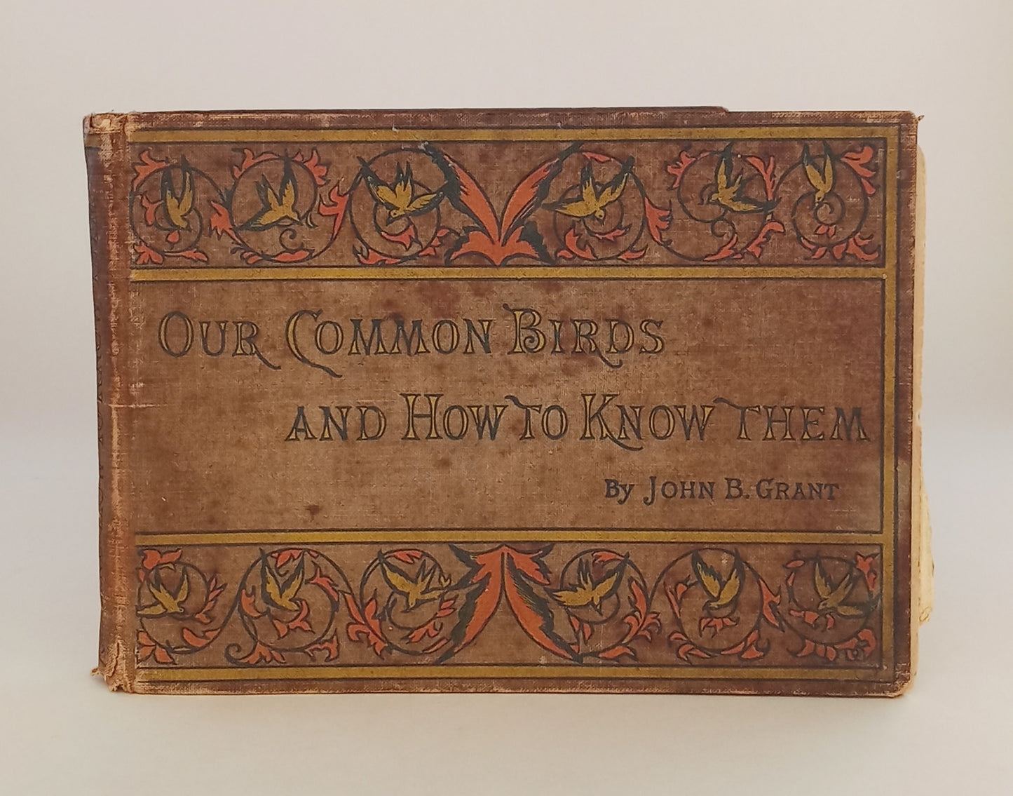 Our Common Birds and How to Know Them book cover