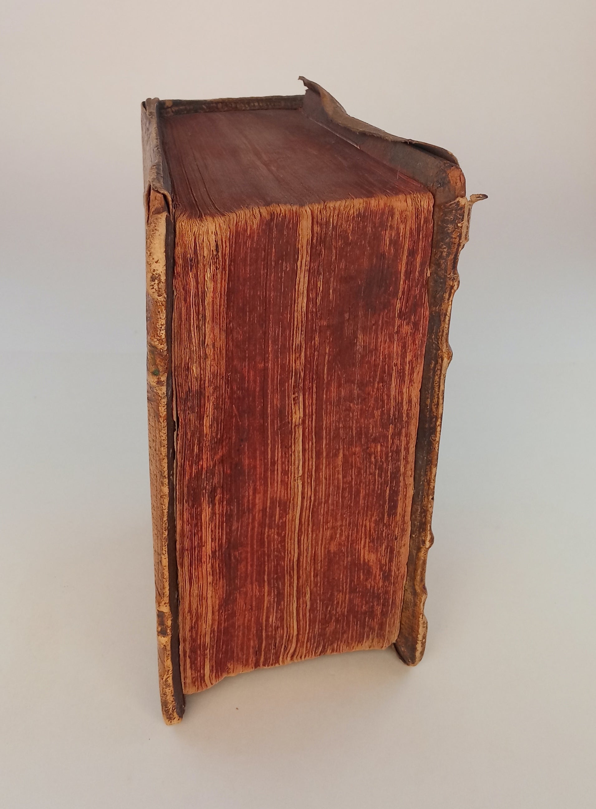 Thesaurus Ciceronianus Linguae Latine book cover