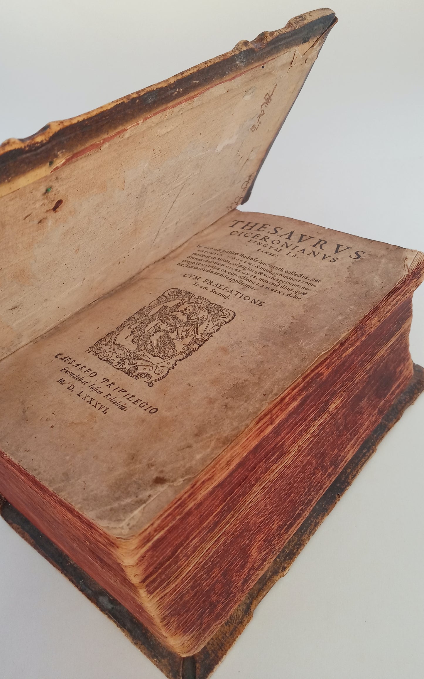 Thesaurus Ciceronianus Linguae Latine book cover