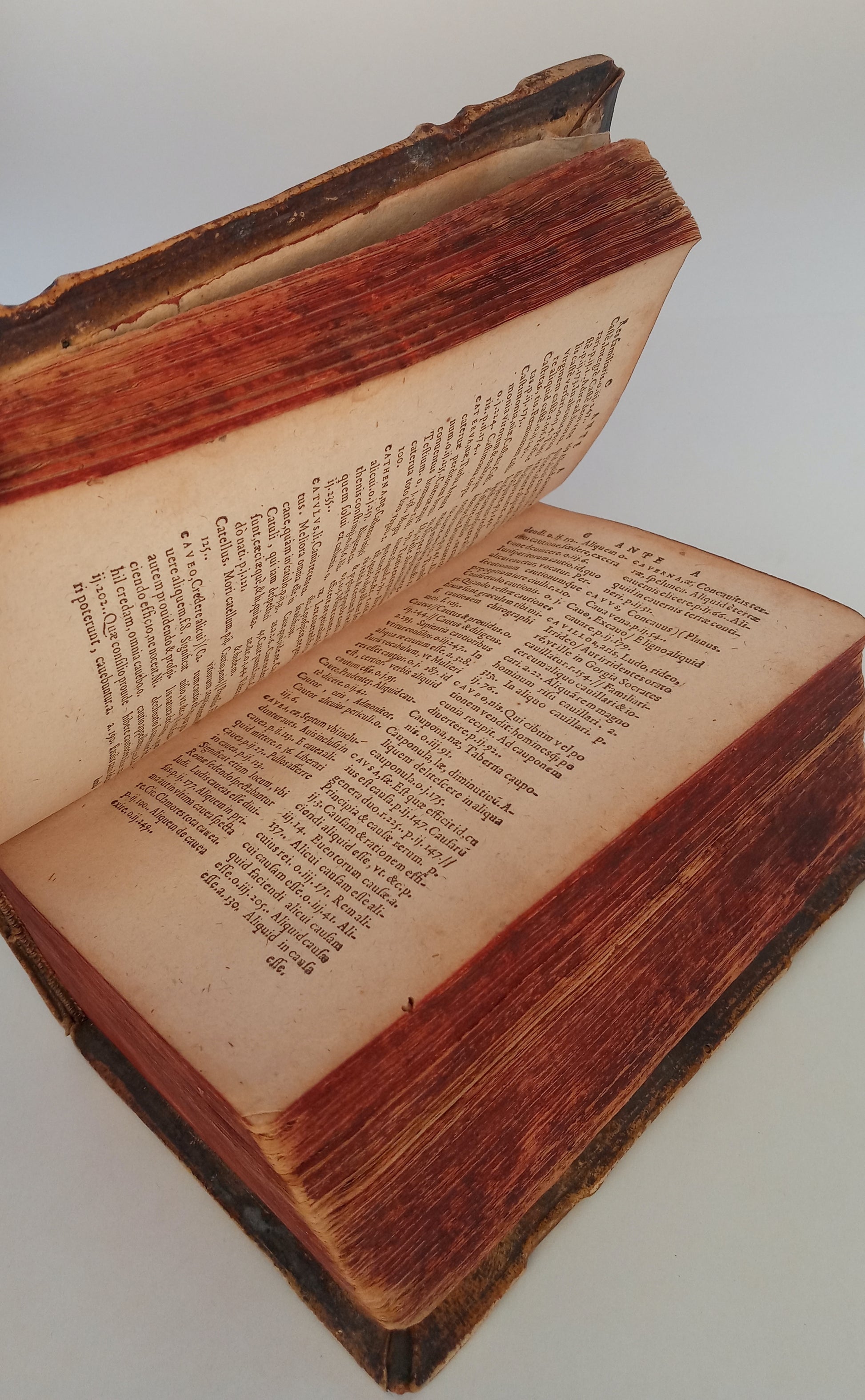 Thesaurus Ciceronianus Linguae Latine book cover