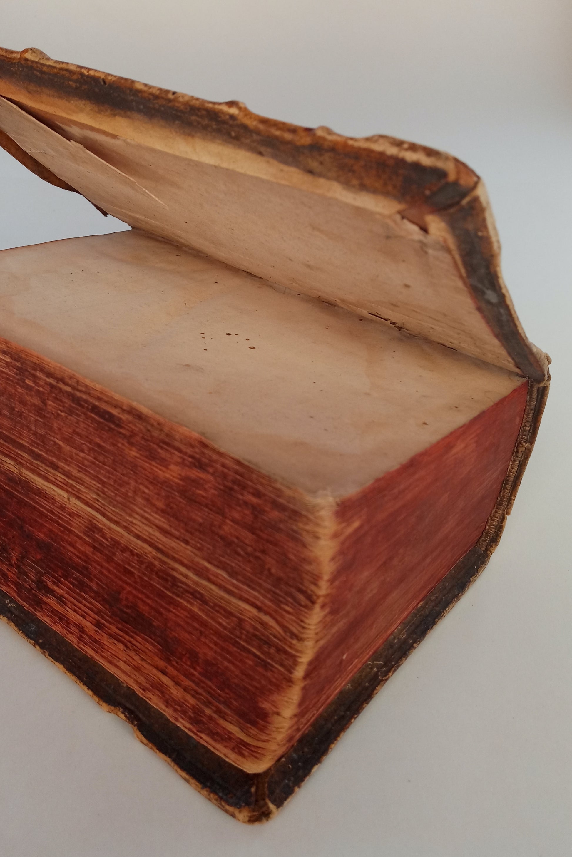 Thesaurus Ciceronianus Linguae Latine book cover
