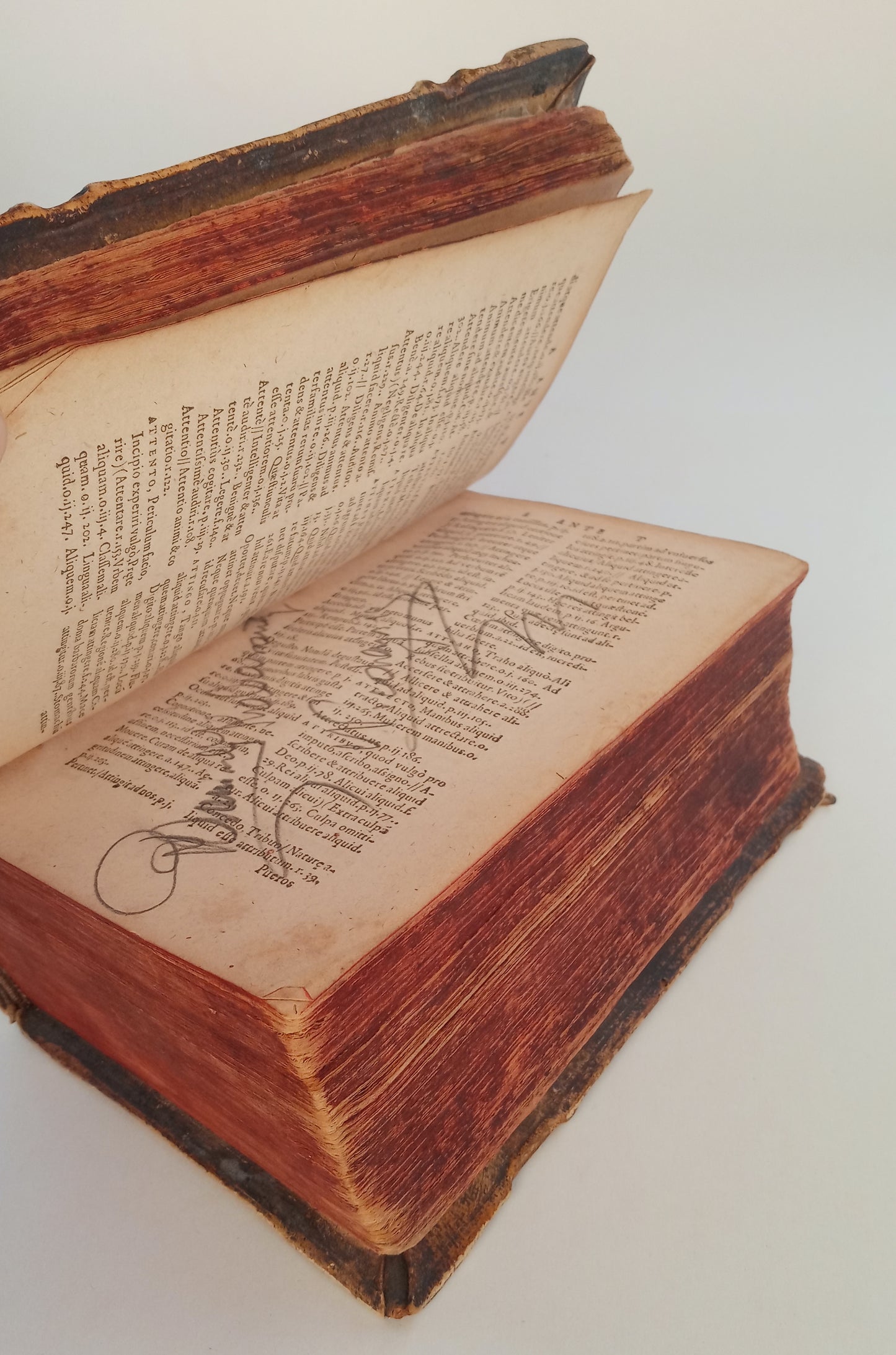 Thesaurus Ciceronianus Linguae Latine book cover