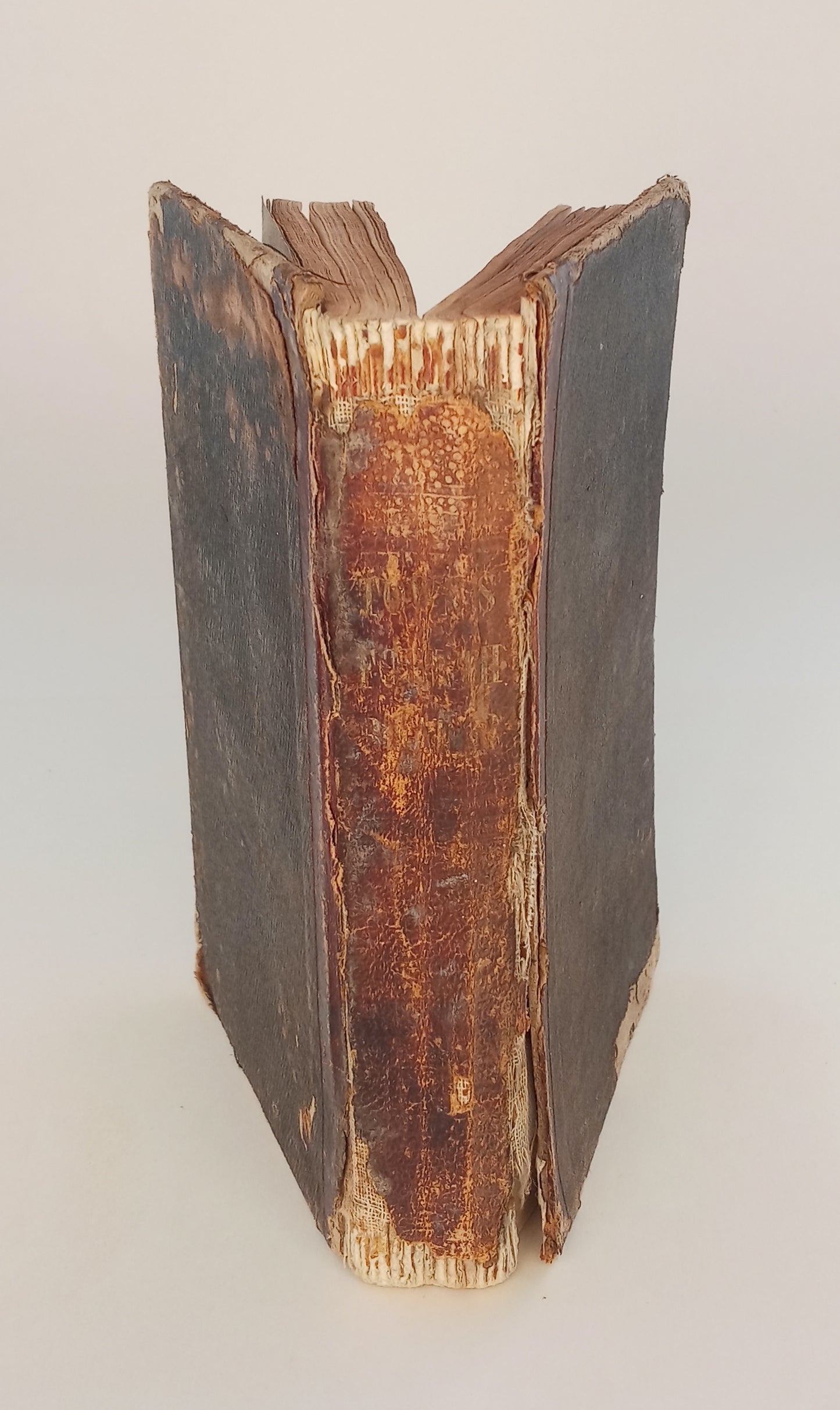 The Fourth Reader or Exercises in Reading and Speaking. Designed for the higher classes in our public and private schools. Revised edition. book cover
