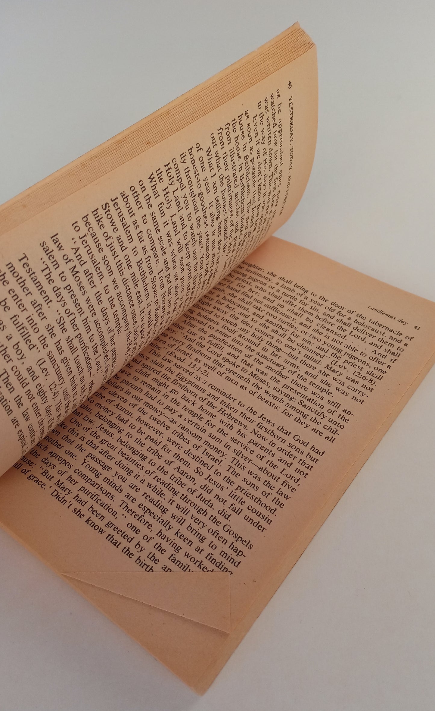 Yesterday, Today & Forever book cover
