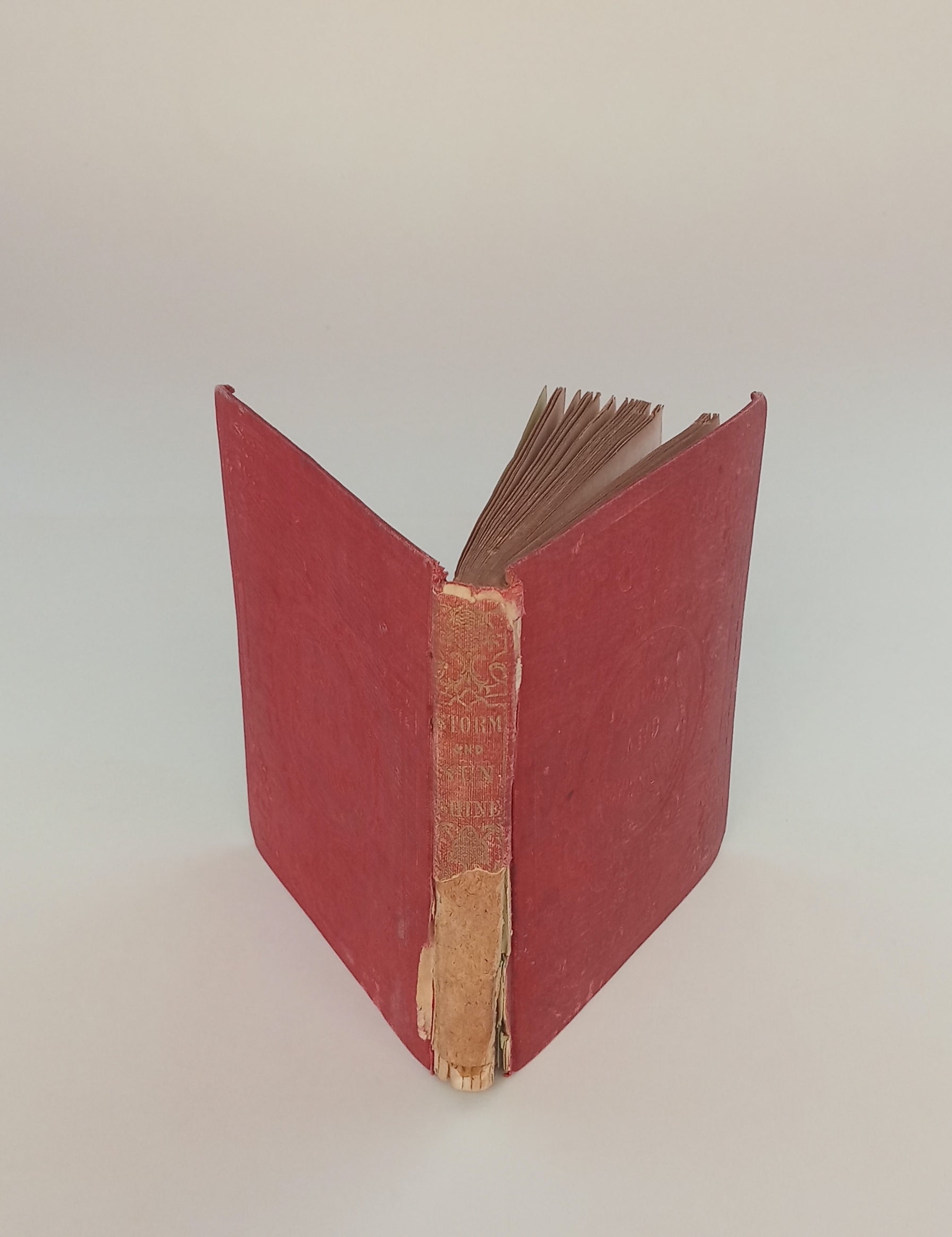 Storm and Sunshine; or, The Right Way and the Wrong Way. book cover