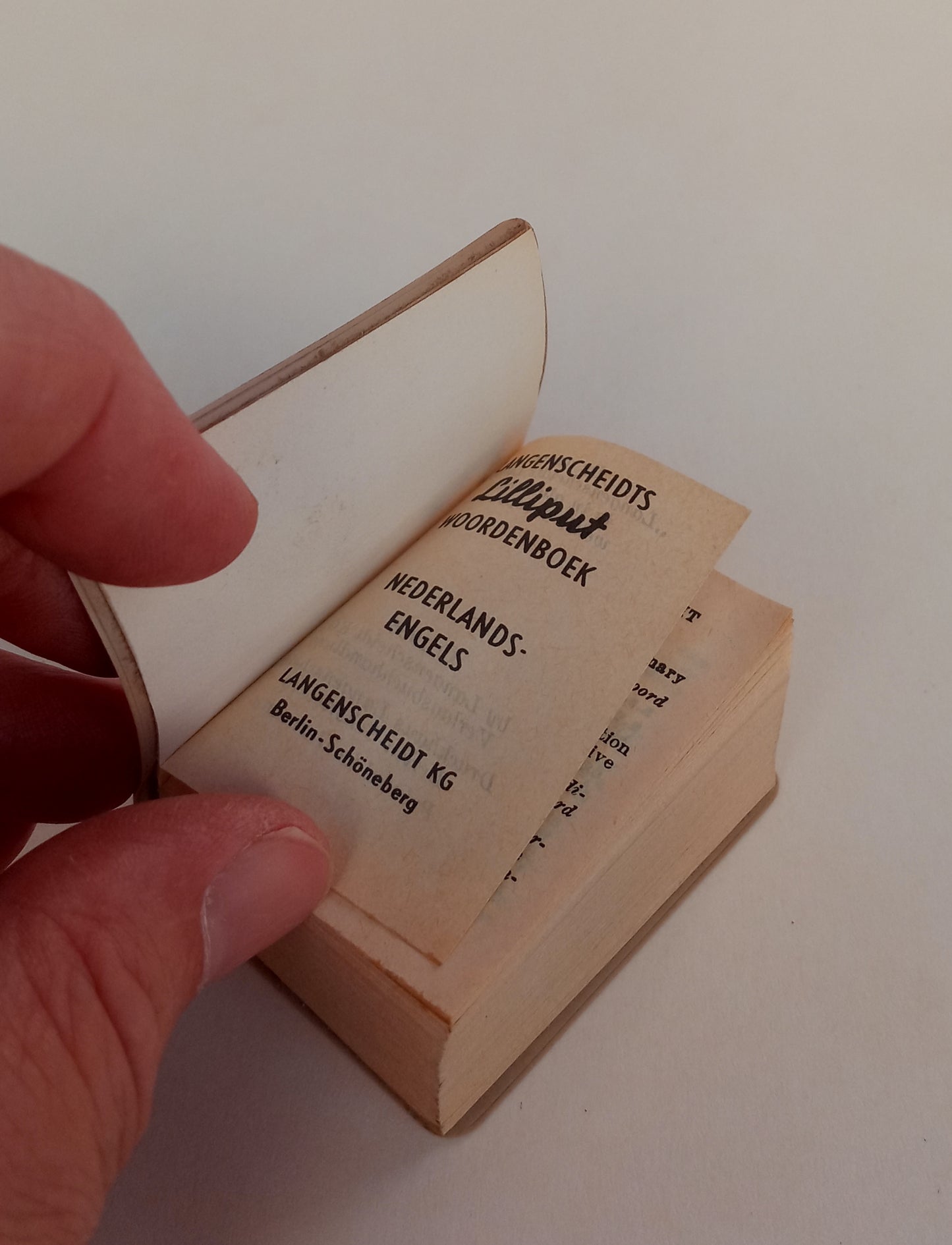 Langenscheidt's Lilliput Dictionary: Dutch-English book cover