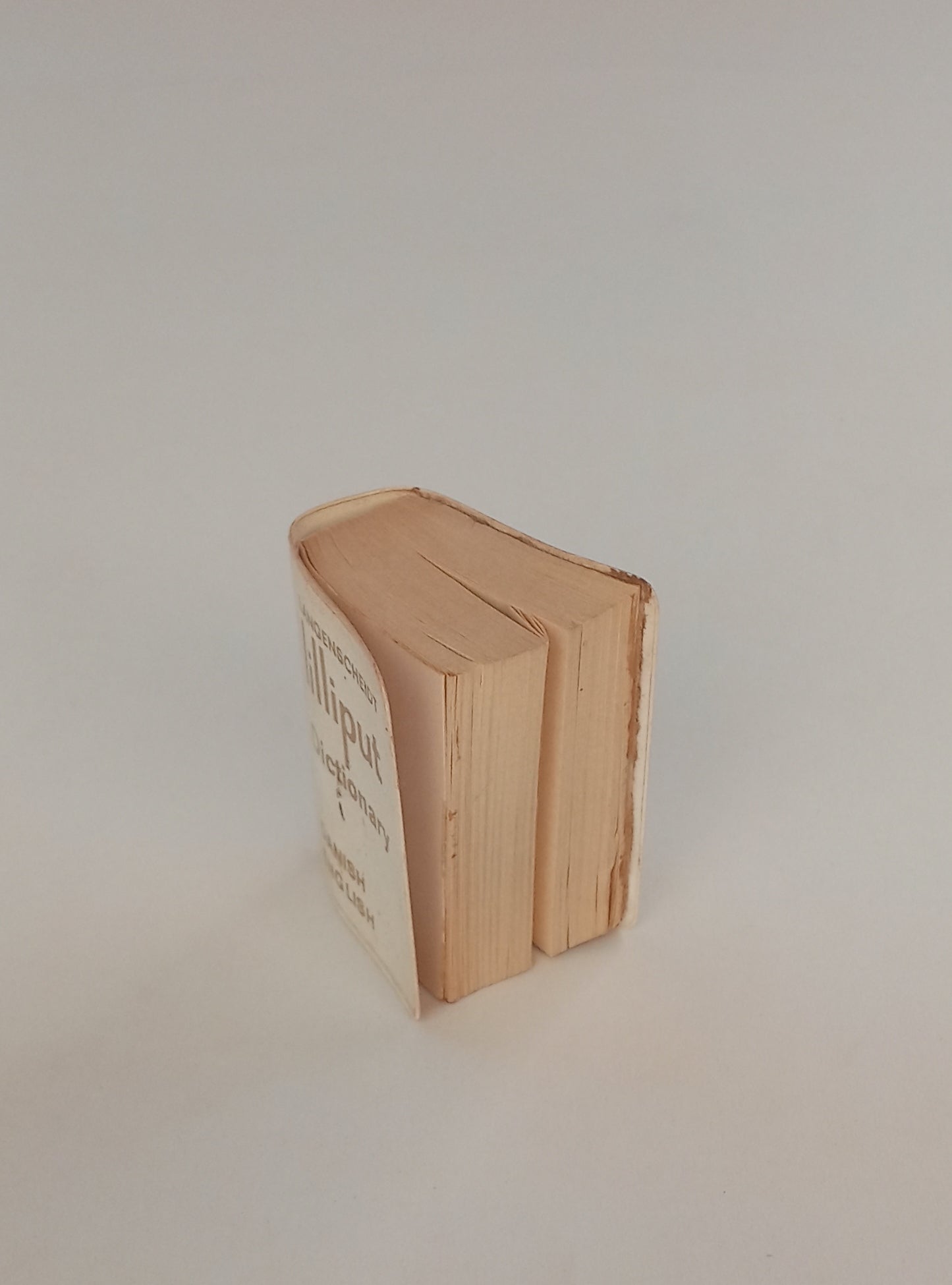 Langenscheidt's Lilliput Dictionary: Danish-English book cover