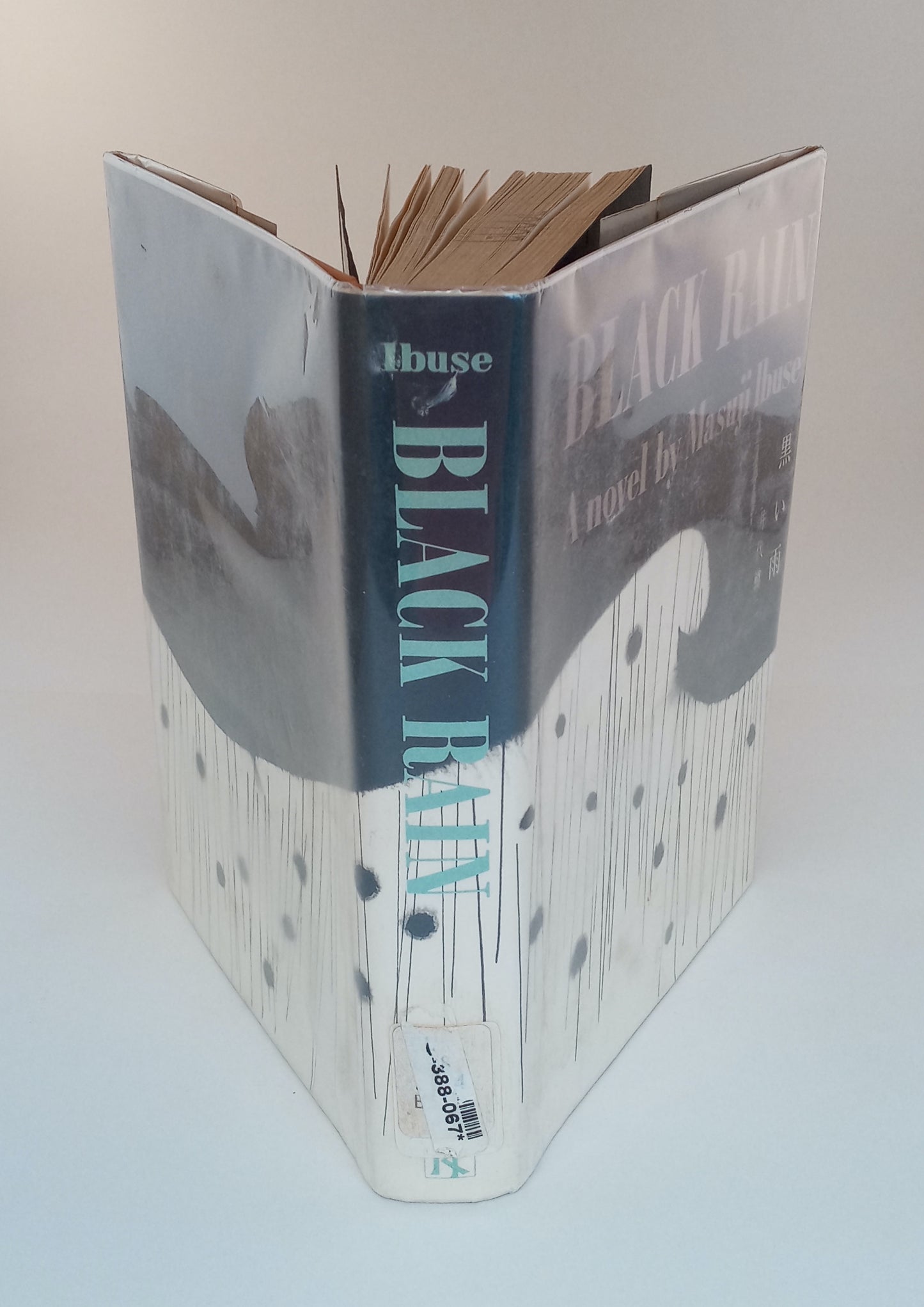 Black Rain book cover