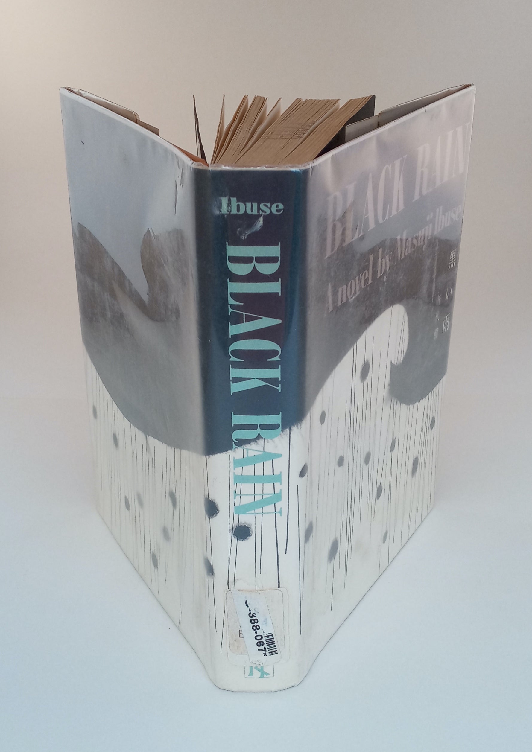 Black Rain book cover