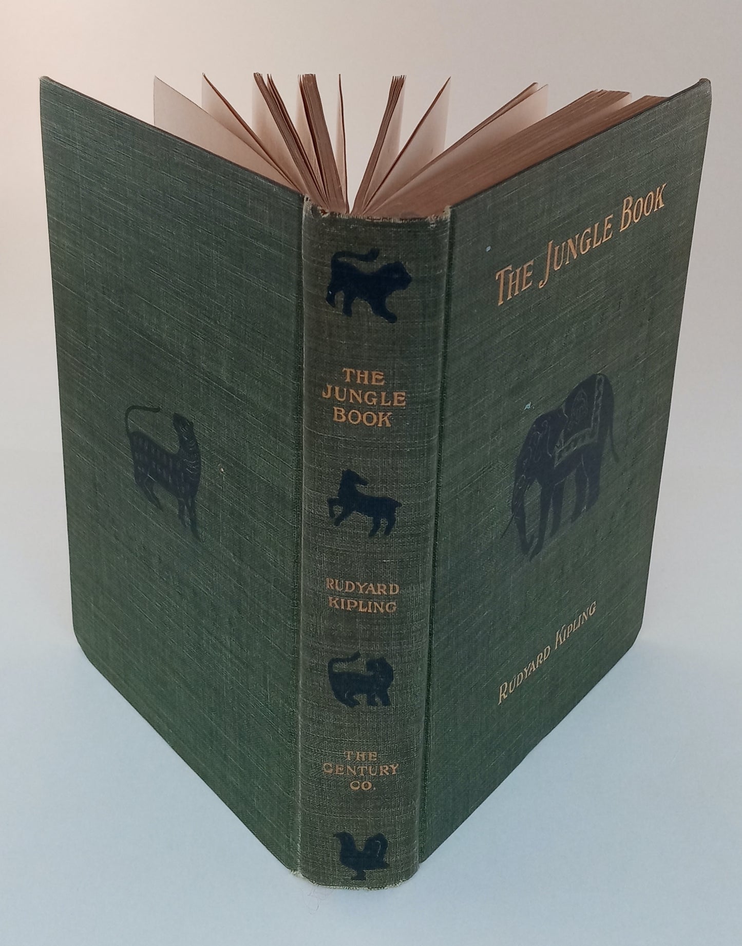 The Jungle Book book cover