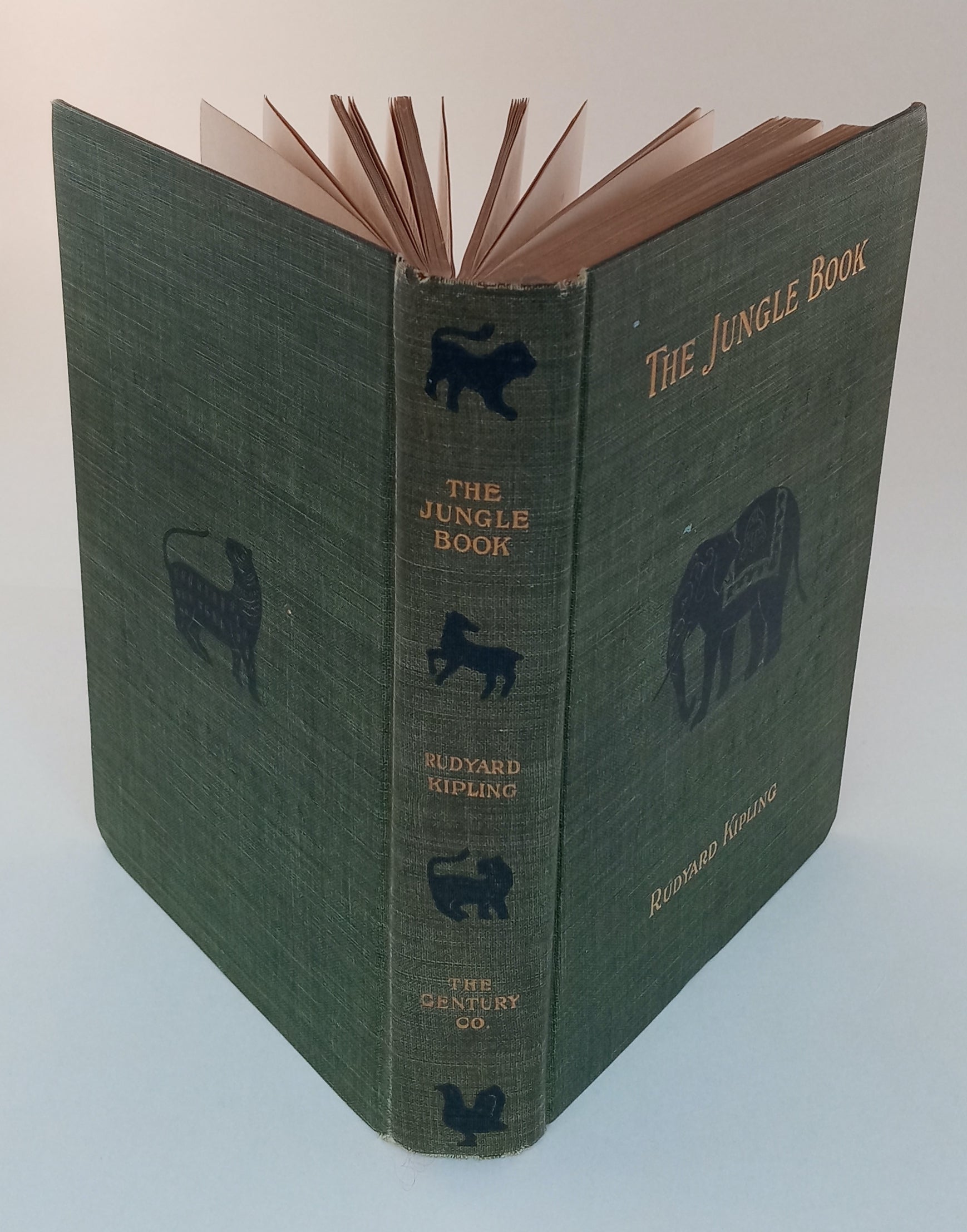 The Jungle Book book cover