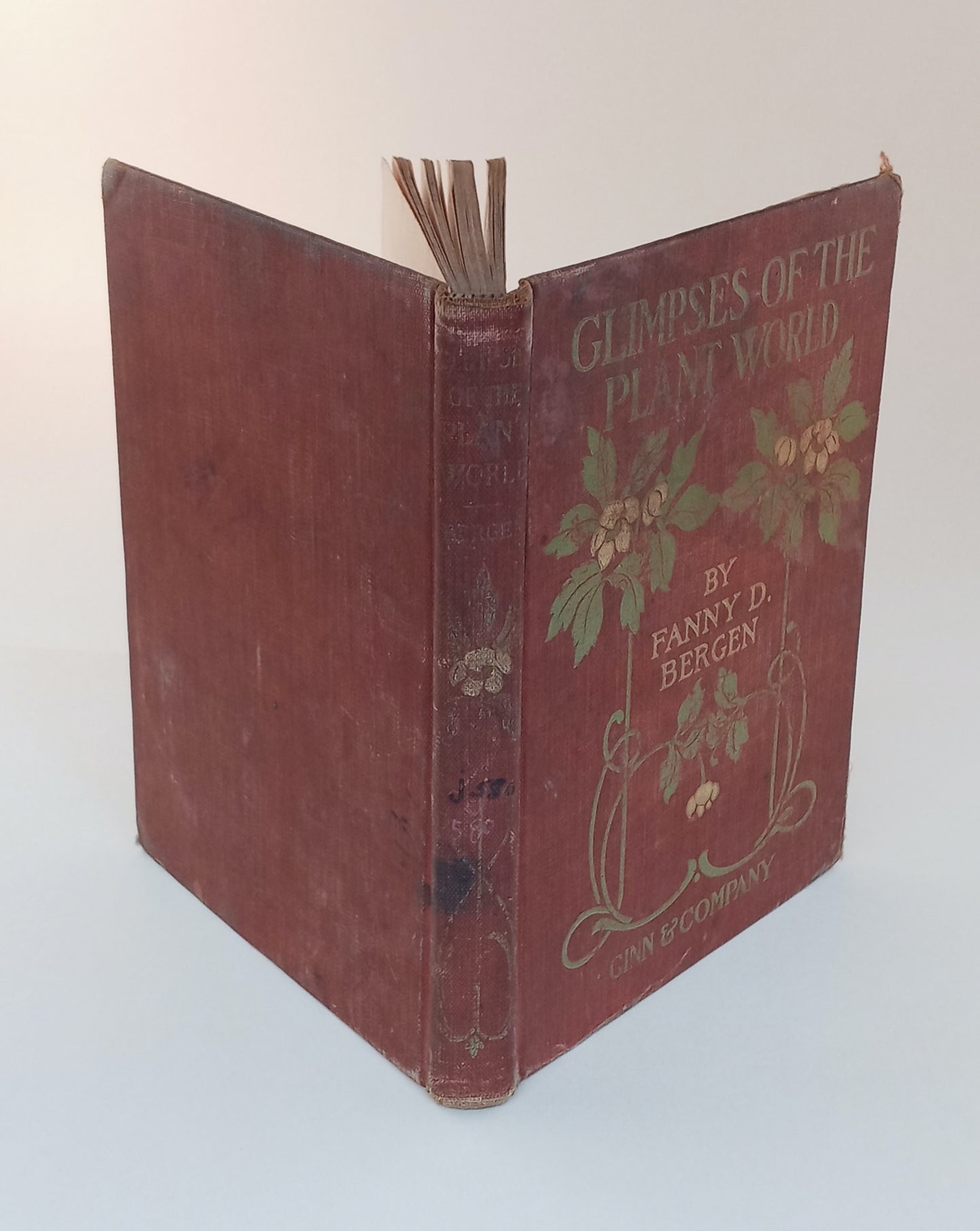 Glimpses at the Plant World book cover