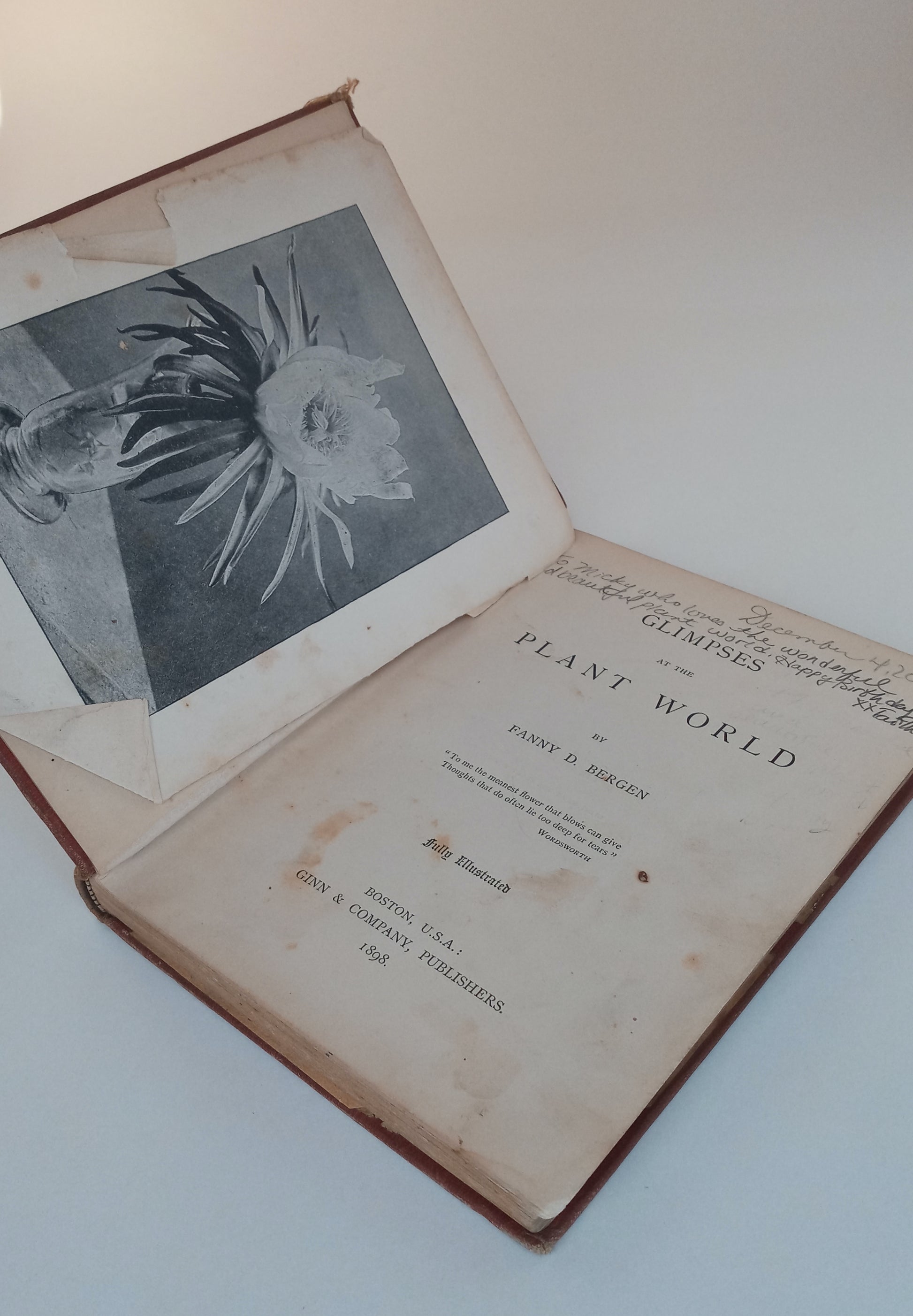 Glimpses at the Plant World book cover