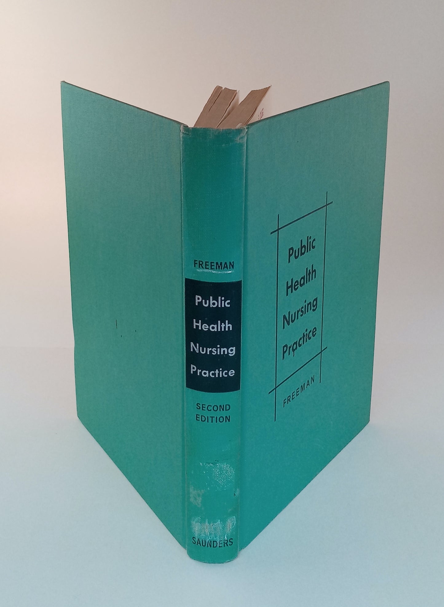 Public Health Nursing Practice book cover