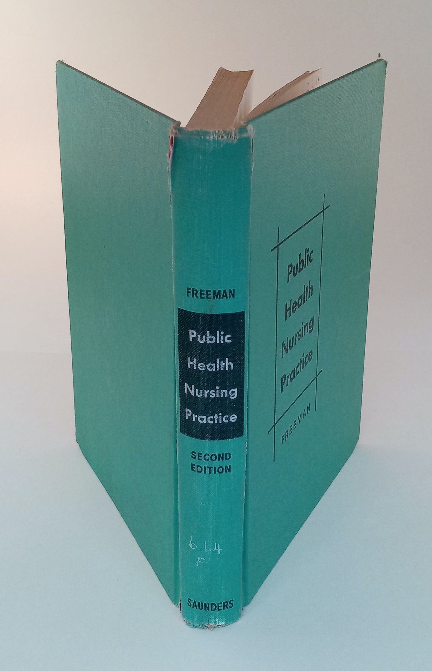 Public Health Nursing Practice book cover