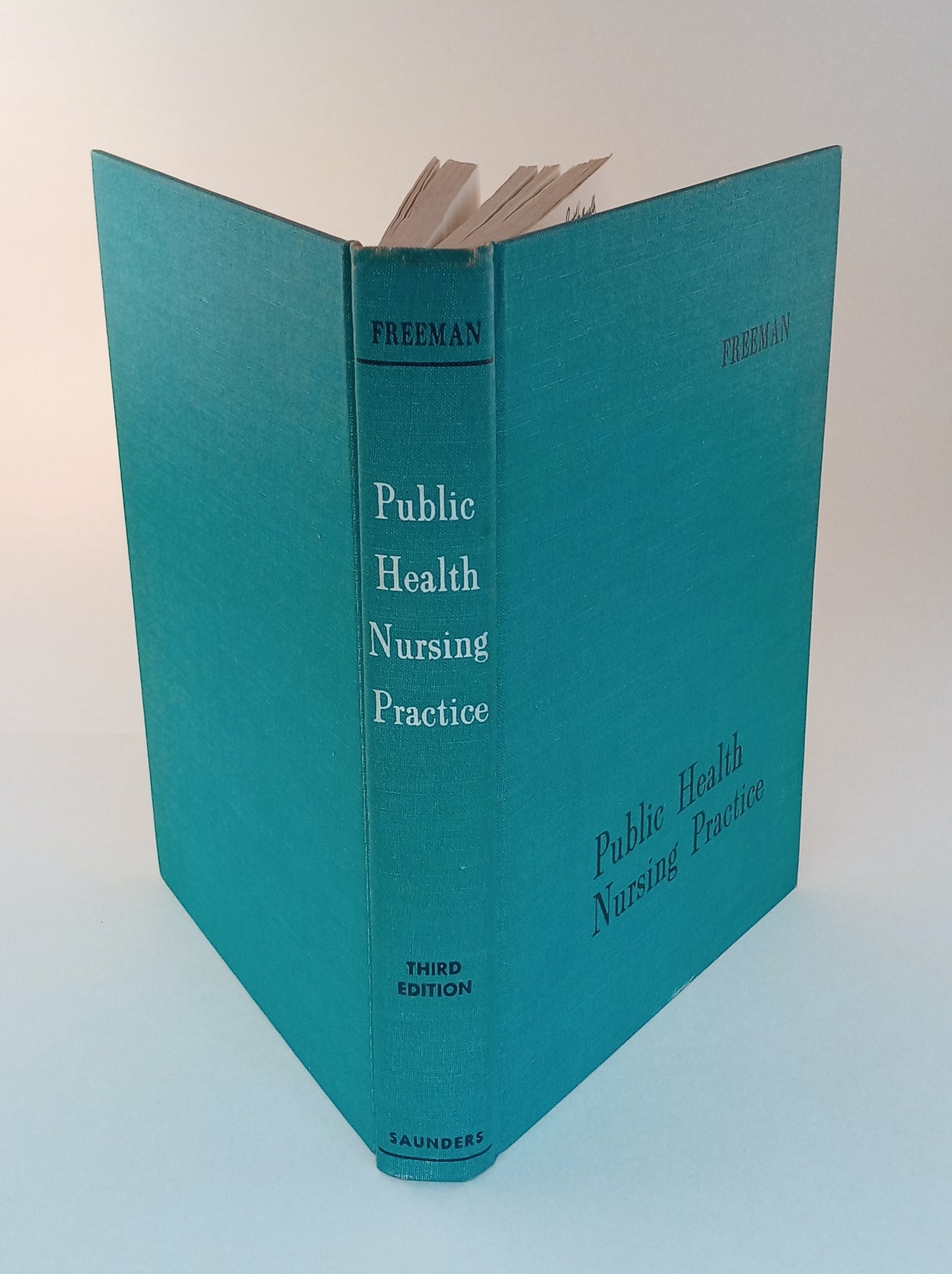 Public Health Nursing Practice book cover
