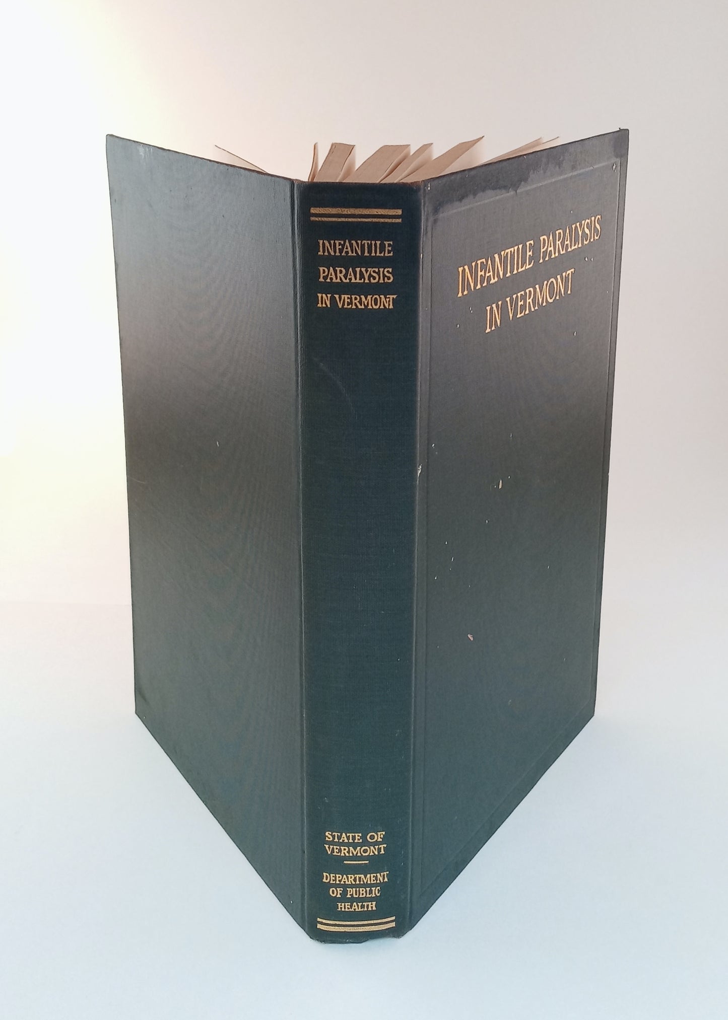 Infantile Paralysis in Vermont, 1894-1922, A Memorial to Charles S. Caverly, M.D. book cover