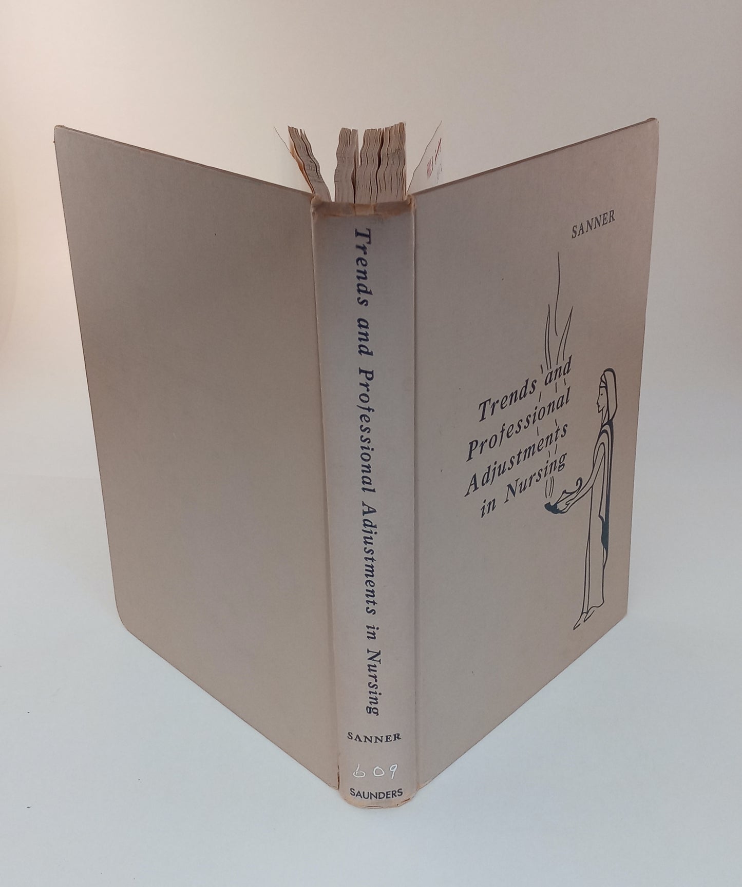 Trends and Professional Adjustments in Nursing book cover