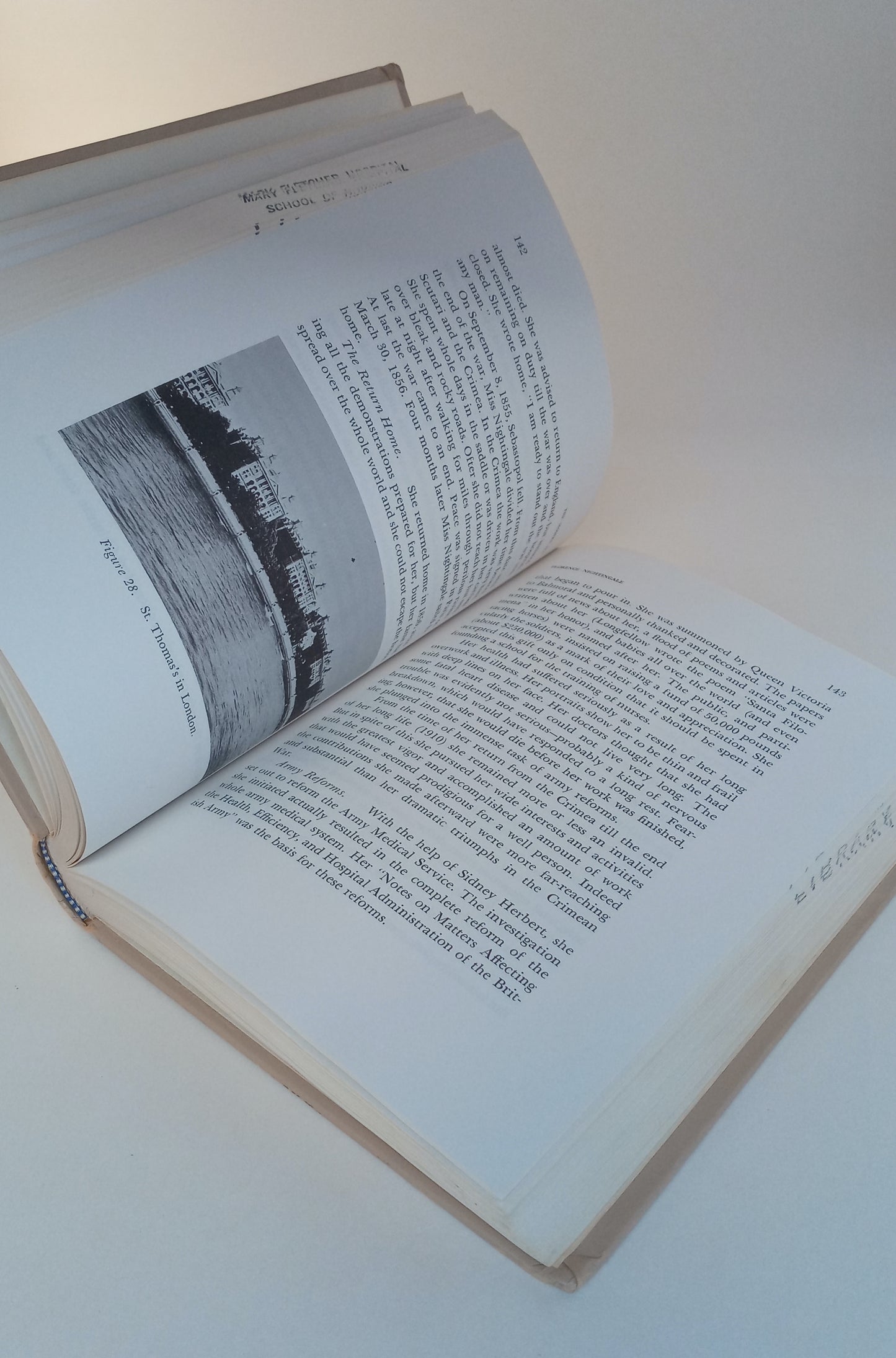 Trends and Professional Adjustments in Nursing book cover