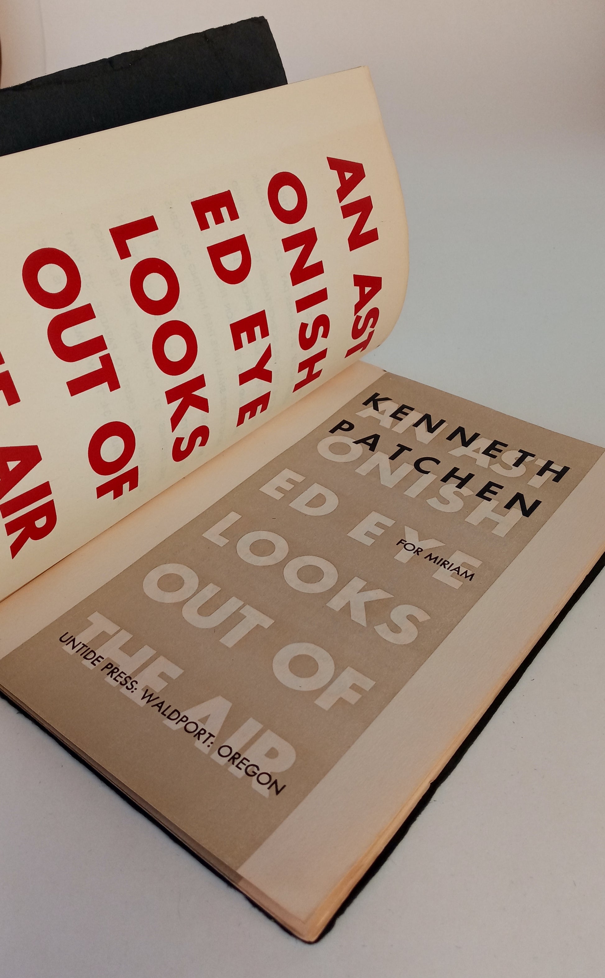 An Astonished Eye Looks Out of the Air book cover