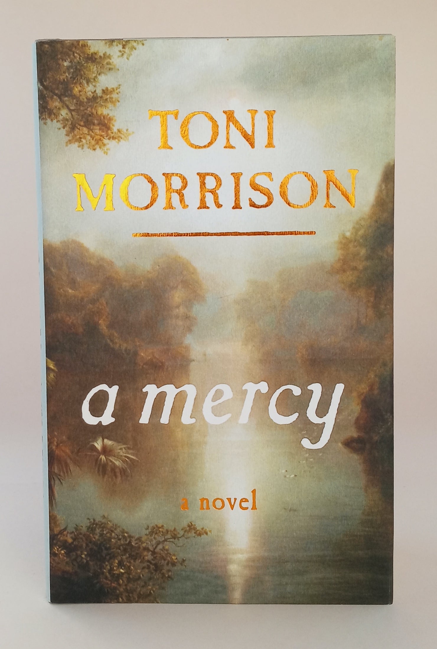 A Mercy book cover